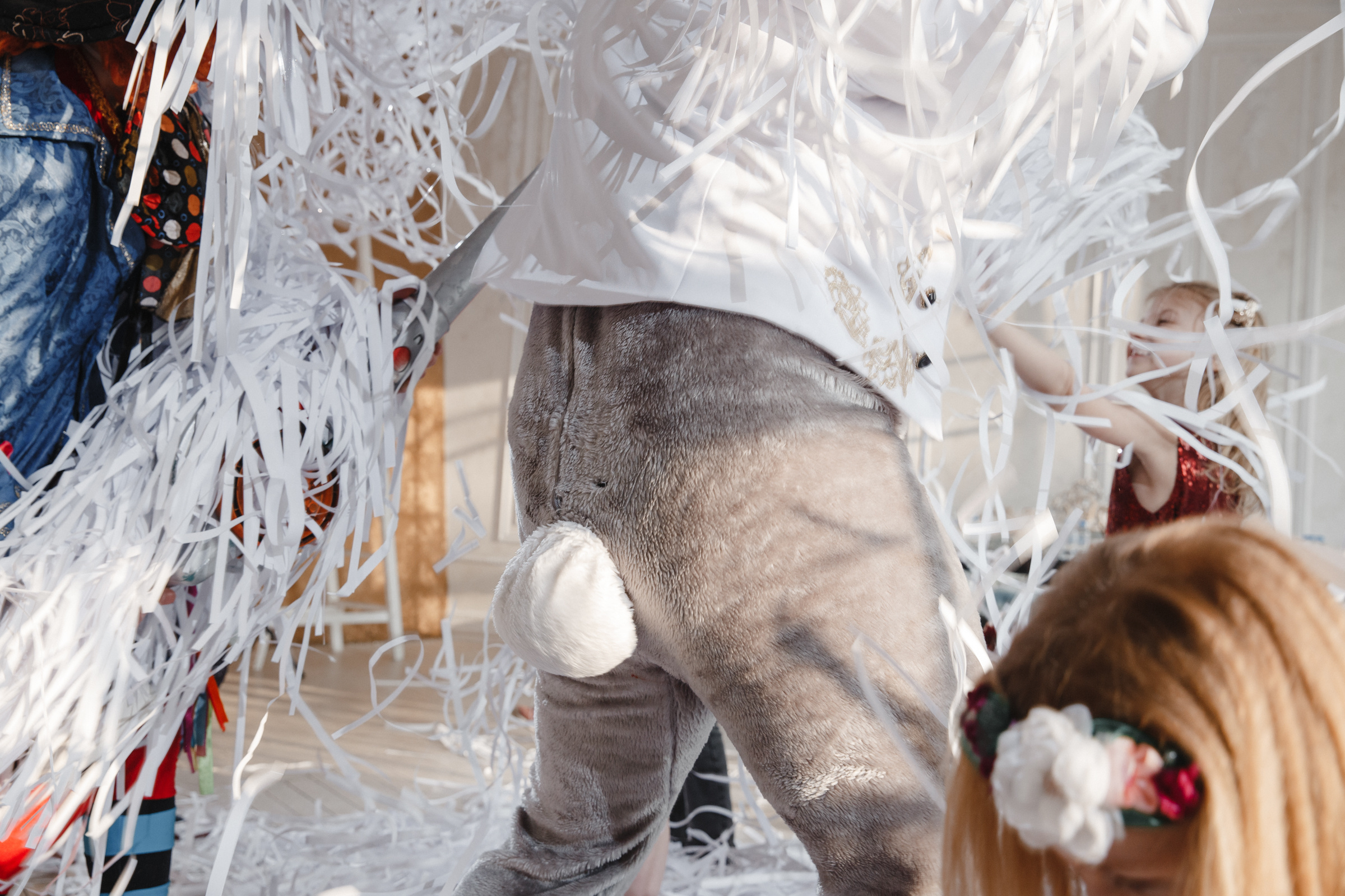 Детский День Рождения по-взрослому!. Ева Демидова. Спортсмен по конкуру в Санкт-Петербуре