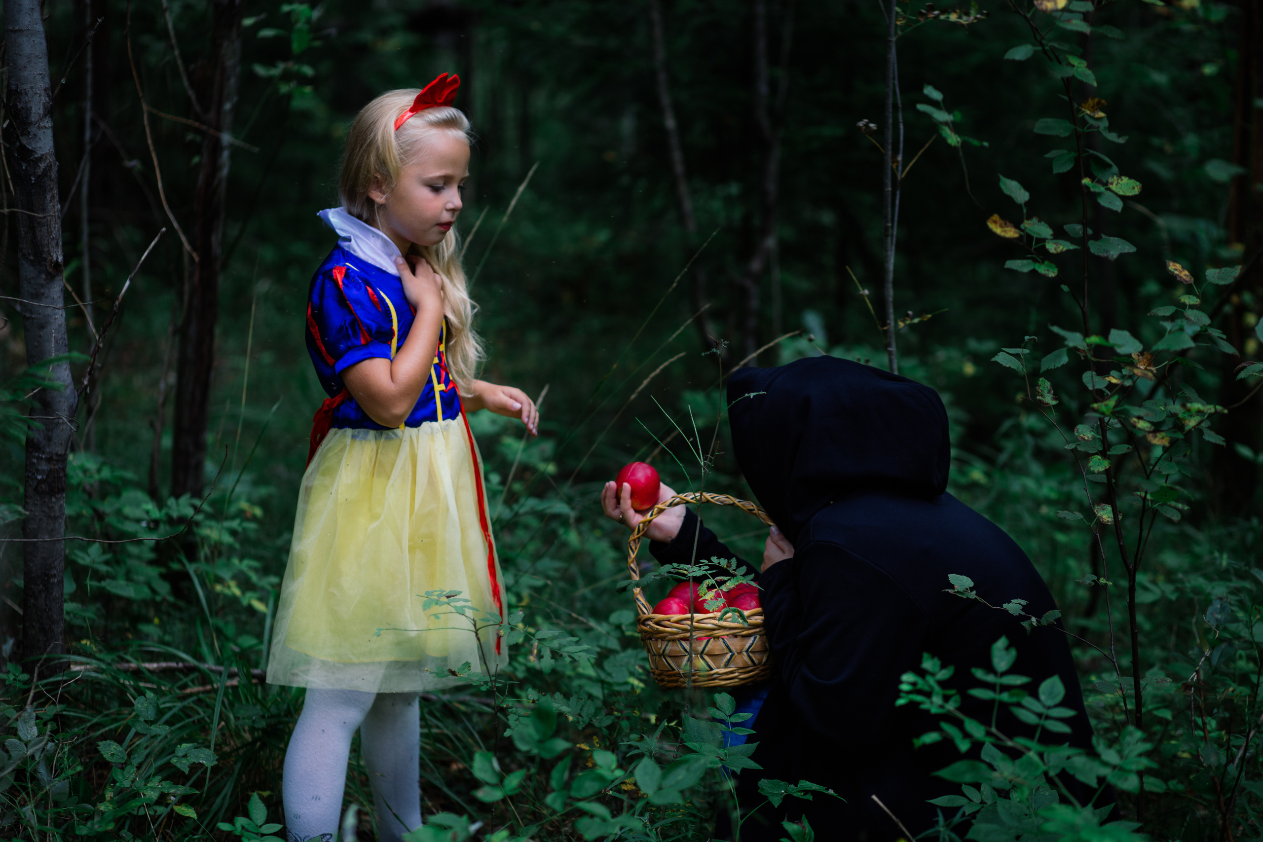 Белоснежка и 777 мошек. Ева Демидова. Спортсмен по конкуру в Санкт-Петербуре