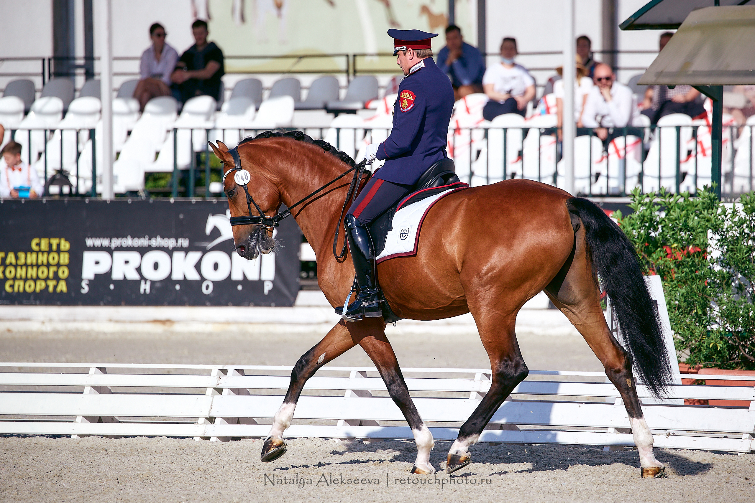 Всероссийский турнир по выездке, КСК Отрада | 09'2020. Репортажный фотограф и ретушер в Москве Наталья Алексеева
