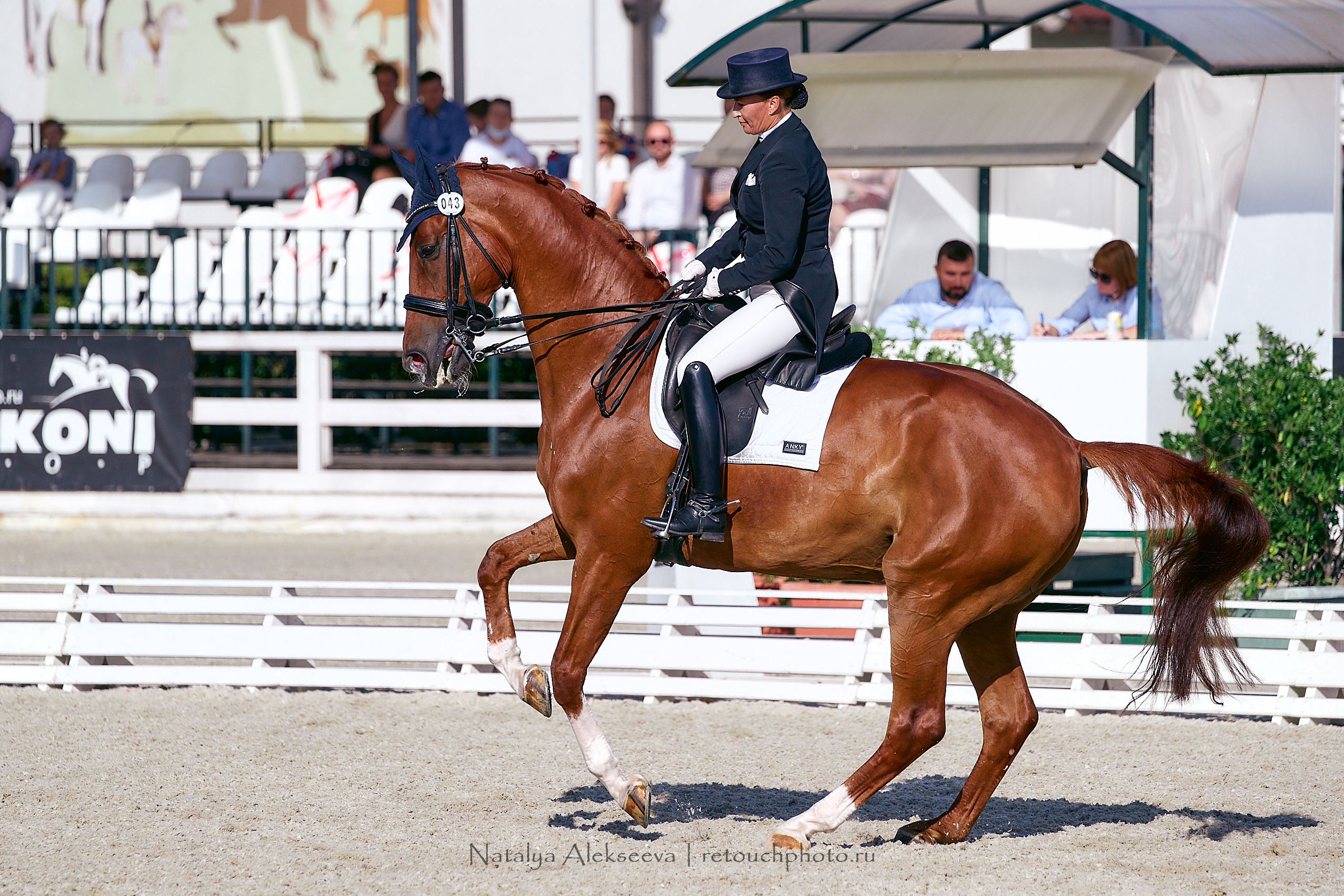 Всероссийский турнир по выездке, КСК Отрада | 09'2020. Репортажный фотограф и ретушер в Москве Наталья Алексеева