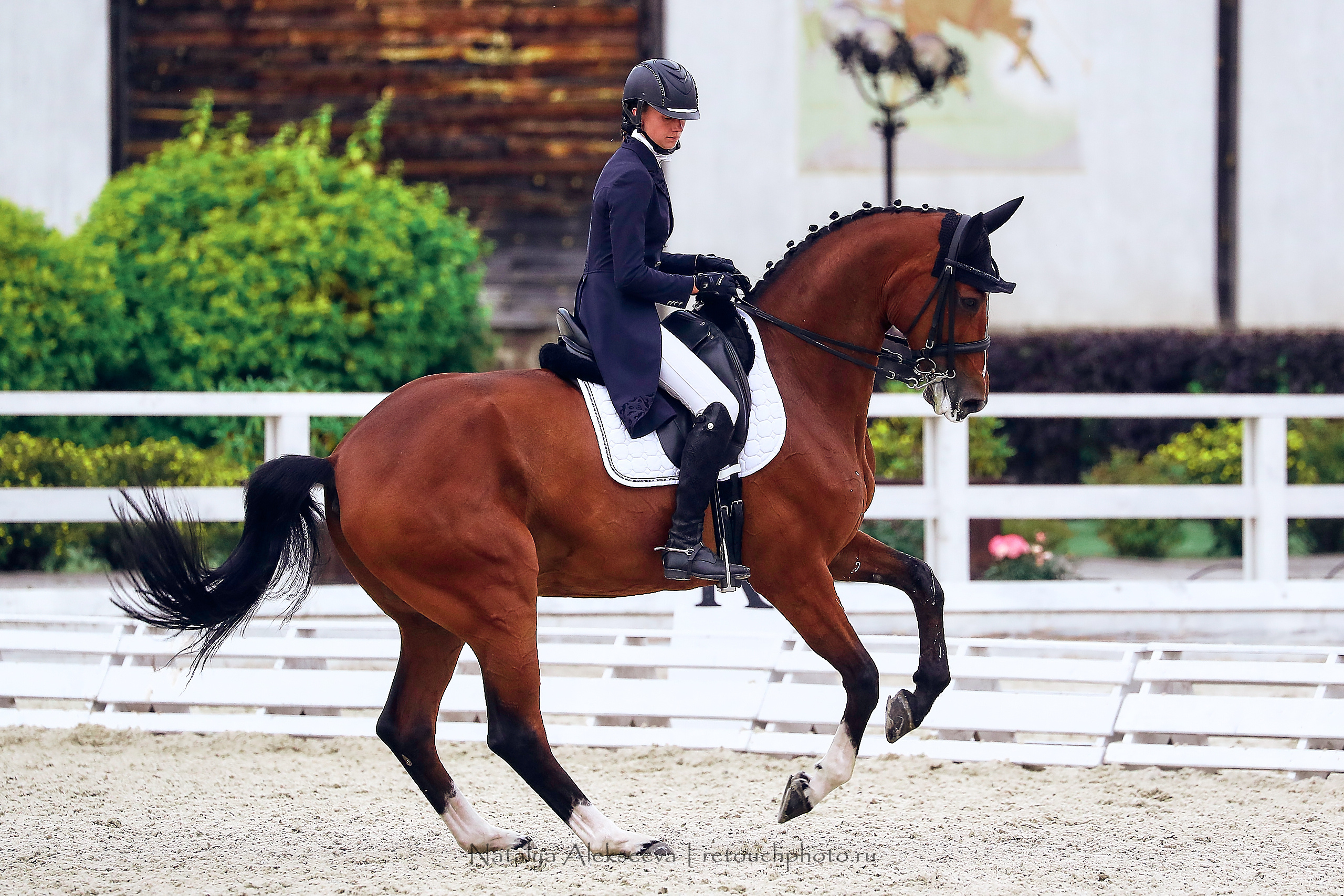 Всероссийский турнир по выездке, КСК Отрада | 09'2020. Репортажный фотограф и ретушер в Москве Наталья Алексеева