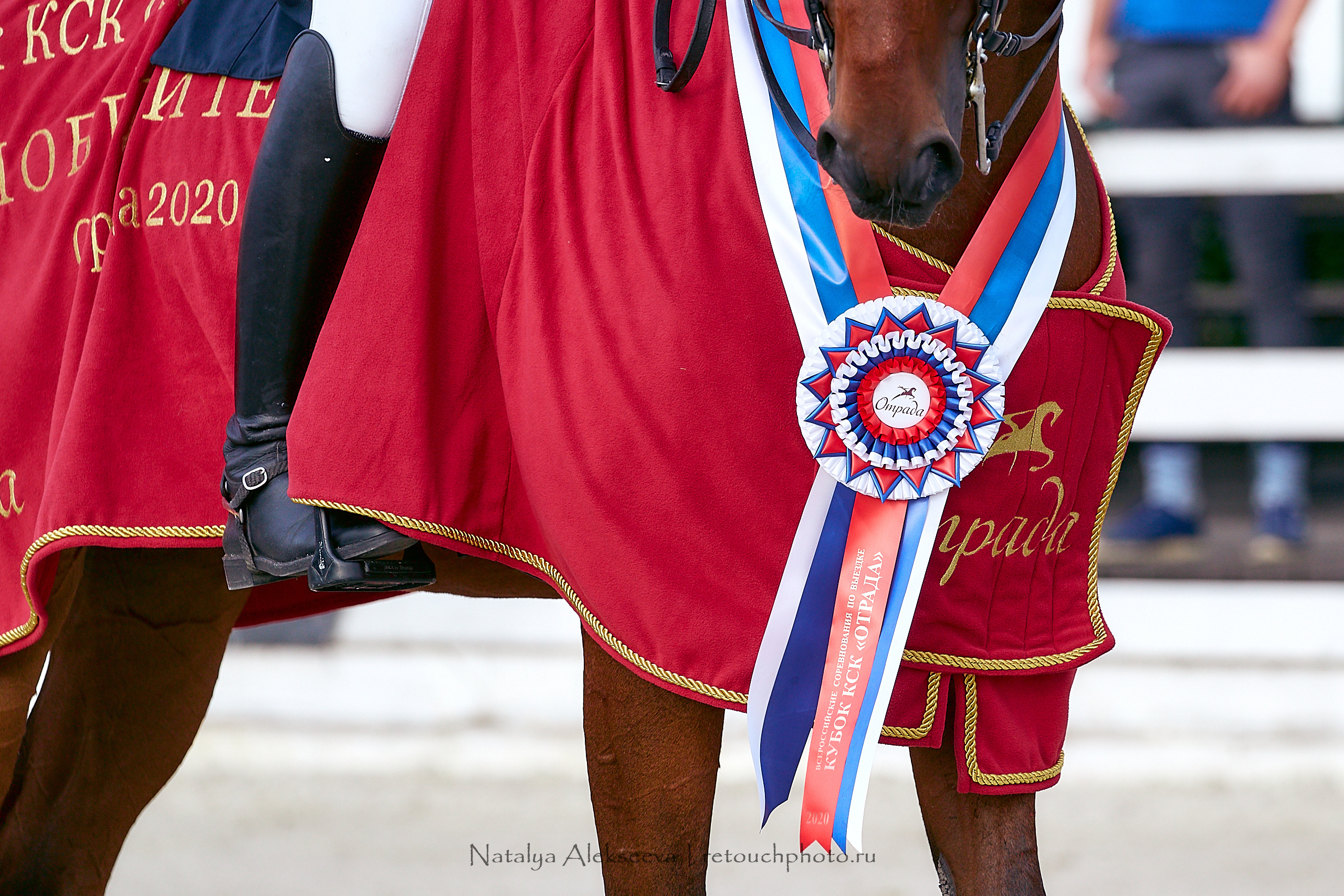 Всероссийский турнир по выездке, КСК Отрада | 09'2020. Репортажный фотограф и ретушер в Москве Наталья Алексеева