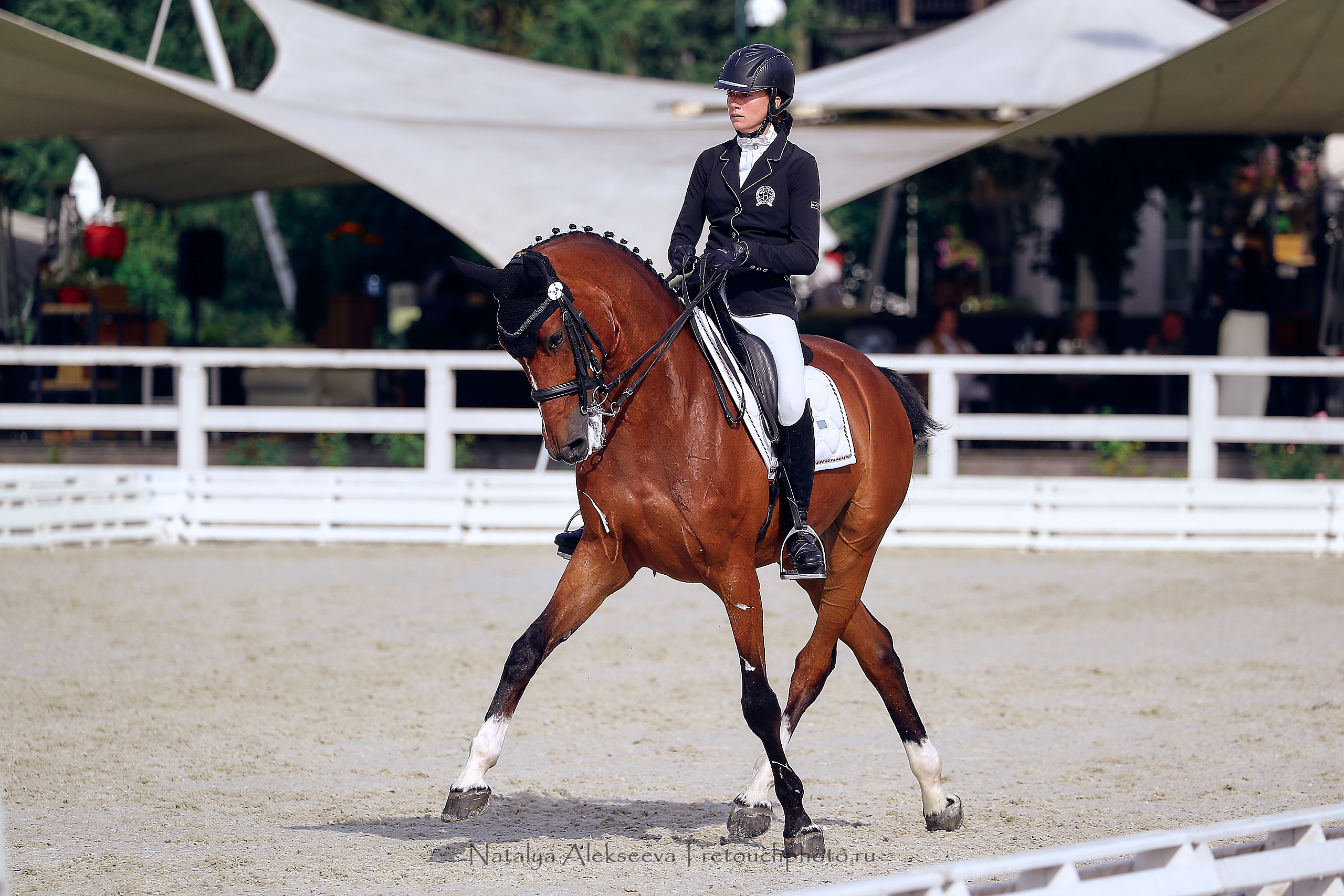 Всероссийский турнир по выездке, КСК Отрада | 09'2020. Репортажный фотограф и ретушер в Москве Наталья Алексеева