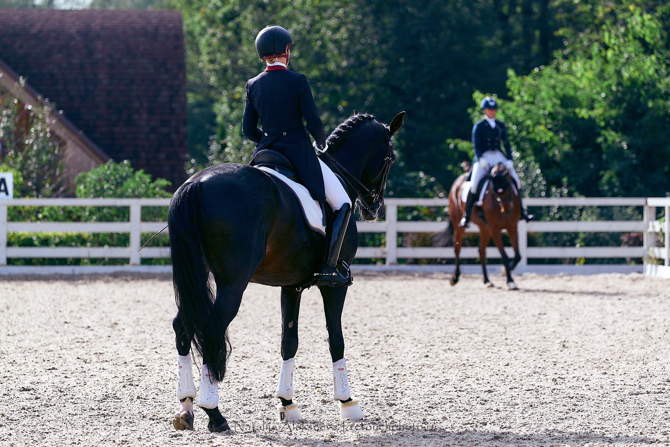 Всероссийский турнир по выездке, КСК Отрада | 09'2020. Репортажный фотограф и ретушер в Москве Наталья Алексеева