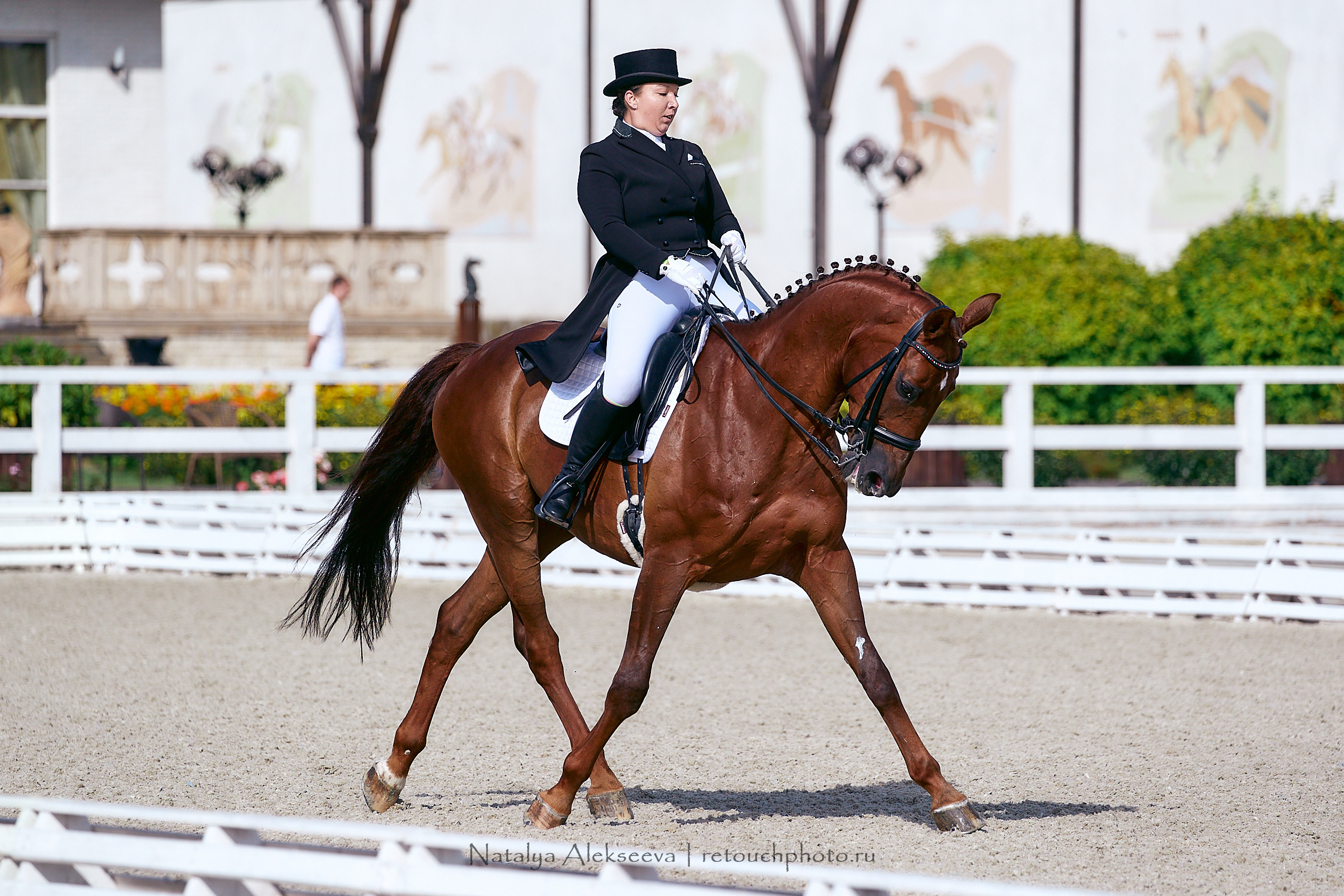 Всероссийский турнир по выездке, КСК Отрада | 09'2020. Репортажный фотограф и ретушер в Москве Наталья Алексеева