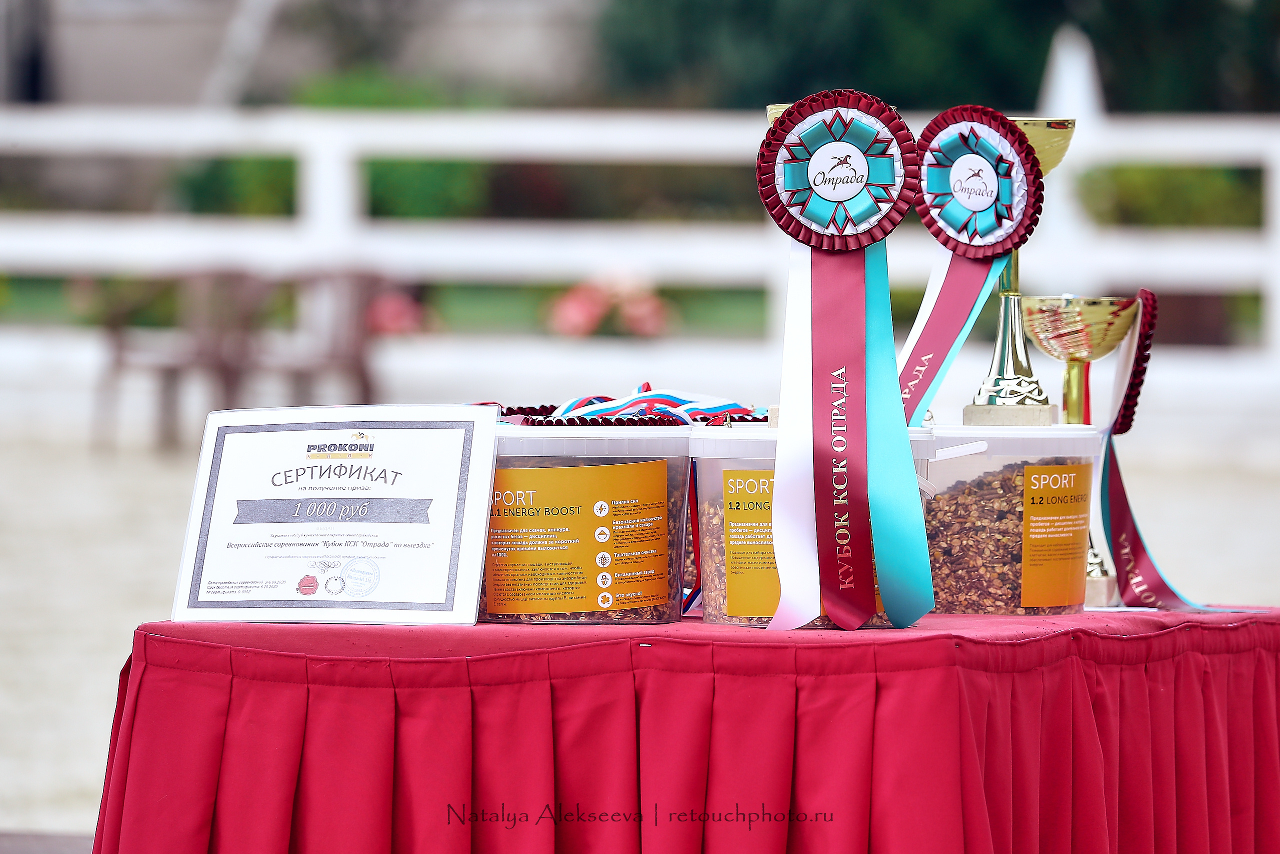 Всероссийский турнир по выездке, КСК Отрада | 09'2020. Репортажный фотограф и ретушер в Москве Наталья Алексеева