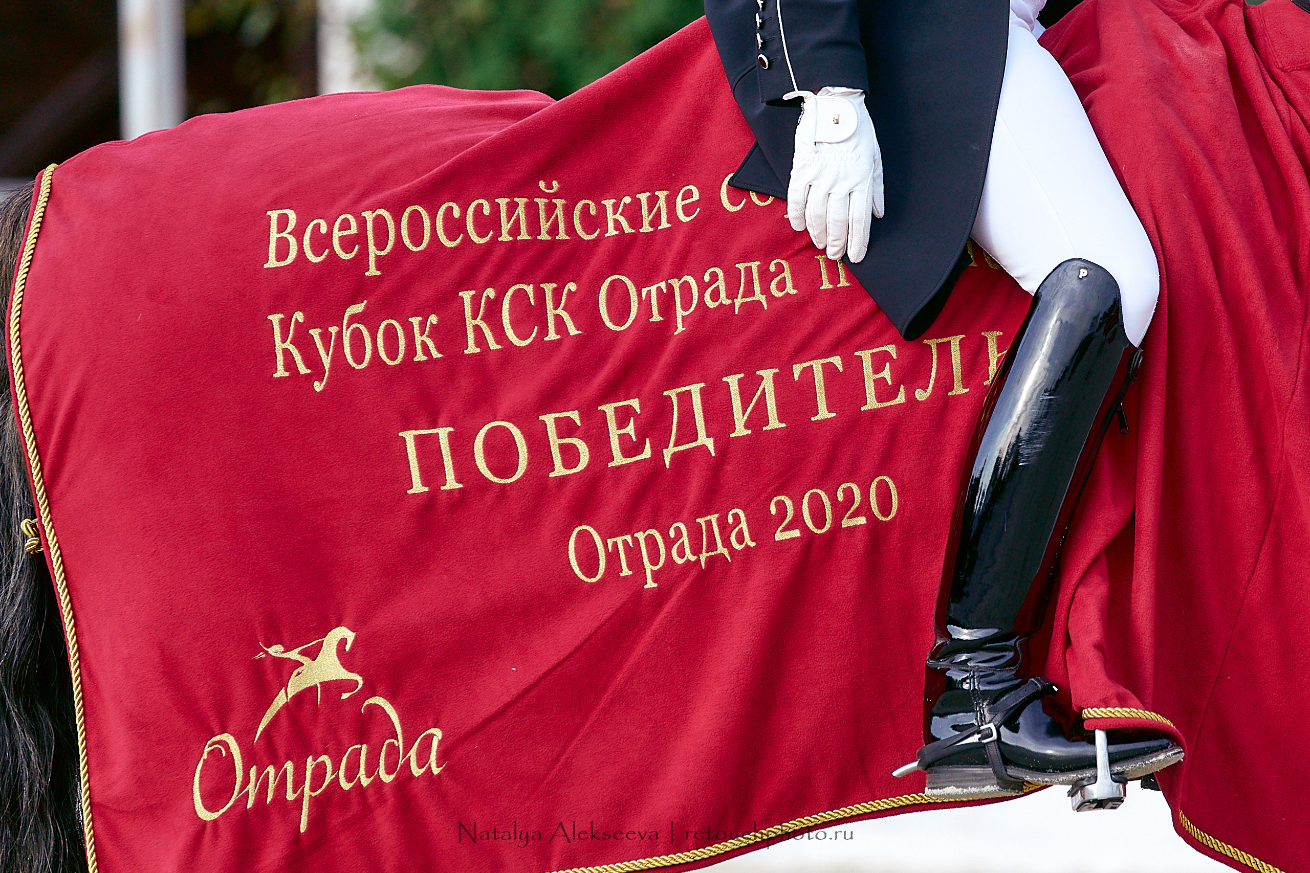 Всероссийский турнир по выездке, КСК Отрада | 09'2020. Репортажный фотограф и ретушер в Москве Наталья Алексеева