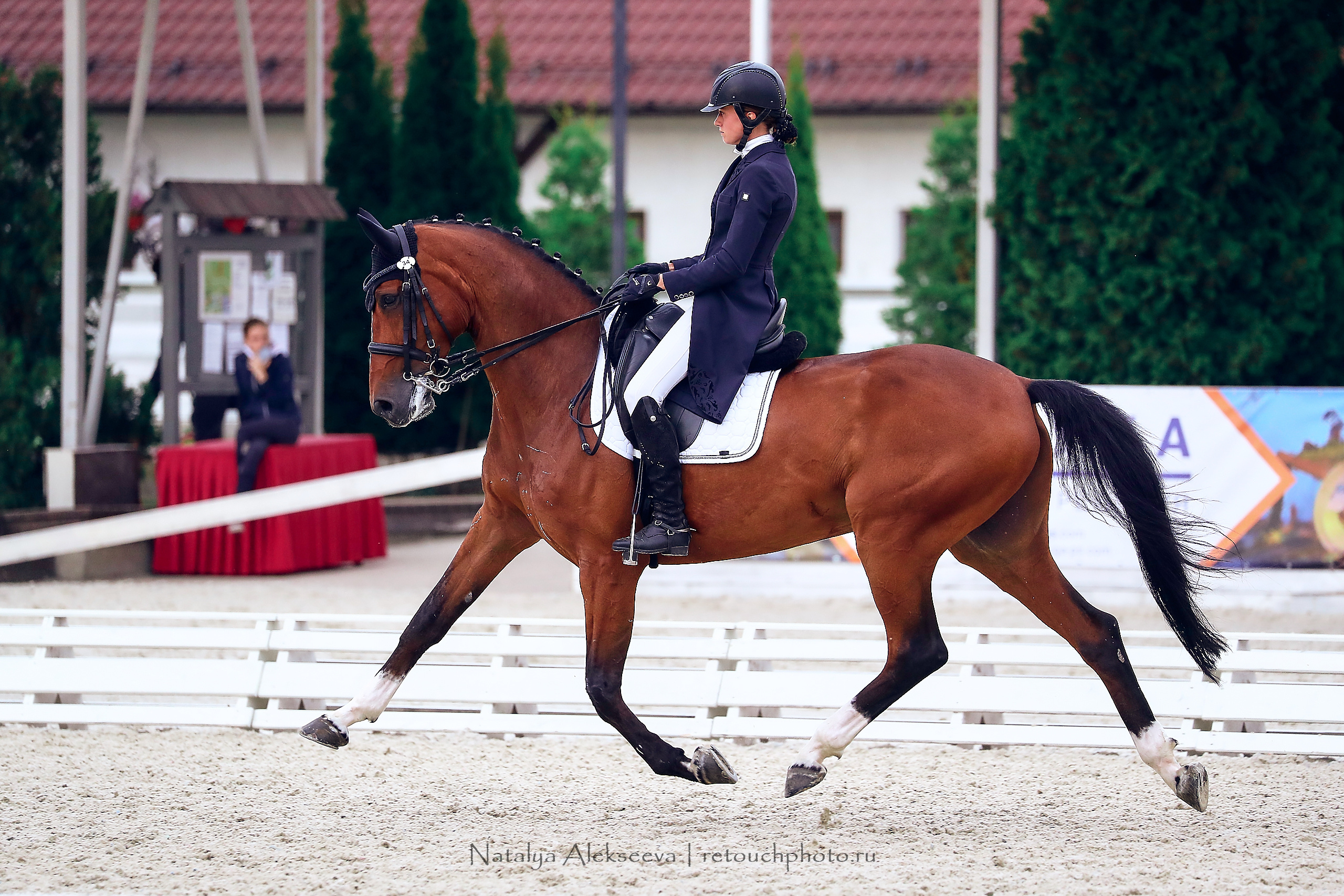Всероссийский турнир по выездке, КСК Отрада | 09'2020. Репортажный фотограф и ретушер в Москве Наталья Алексеева