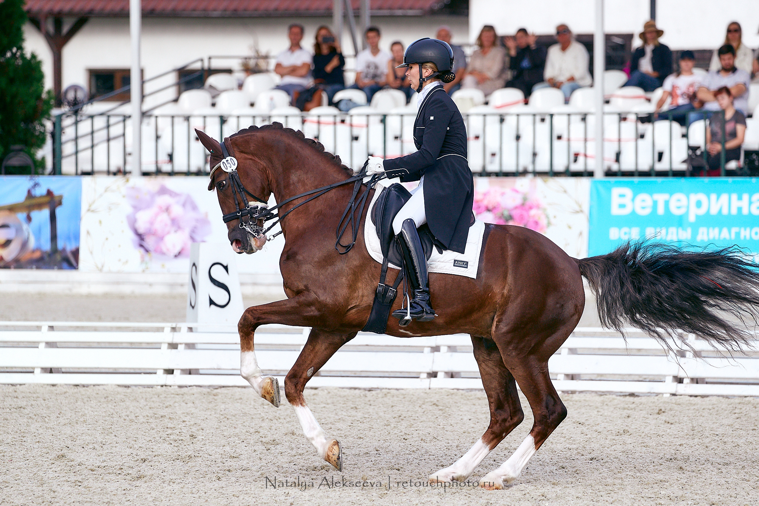 Всероссийский турнир по выездке, КСК Отрада | 09'2020. Репортажный фотограф и ретушер в Москве Наталья Алексеева