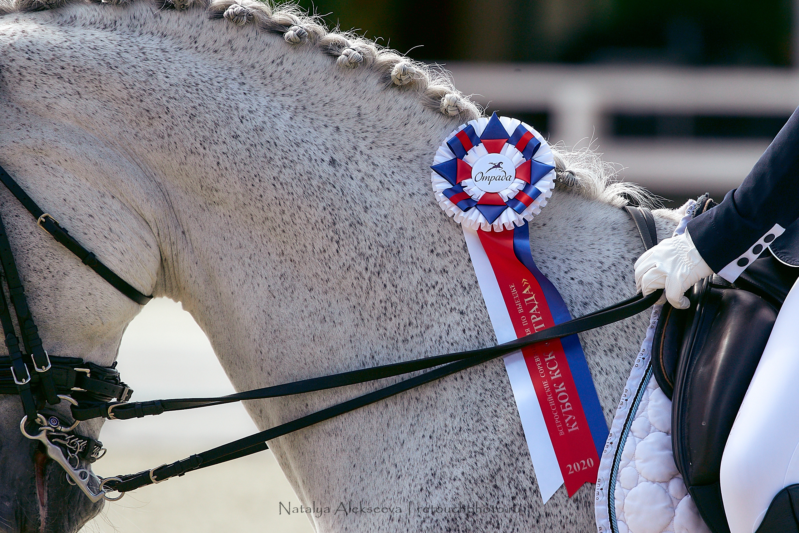 Всероссийский турнир по выездке, КСК Отрада | 09'2020. Репортажный фотограф и ретушер в Москве Наталья Алексеева