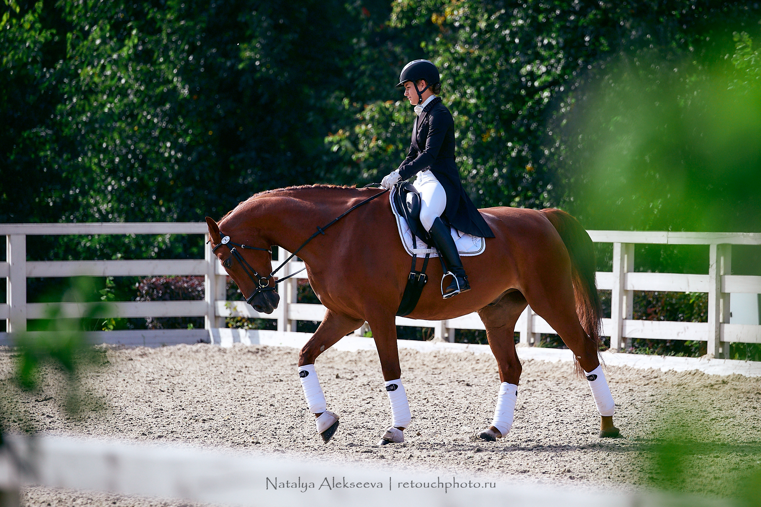 Всероссийский турнир по выездке, КСК Отрада | 09'2020. Репортажный фотограф и ретушер в Москве Наталья Алексеева