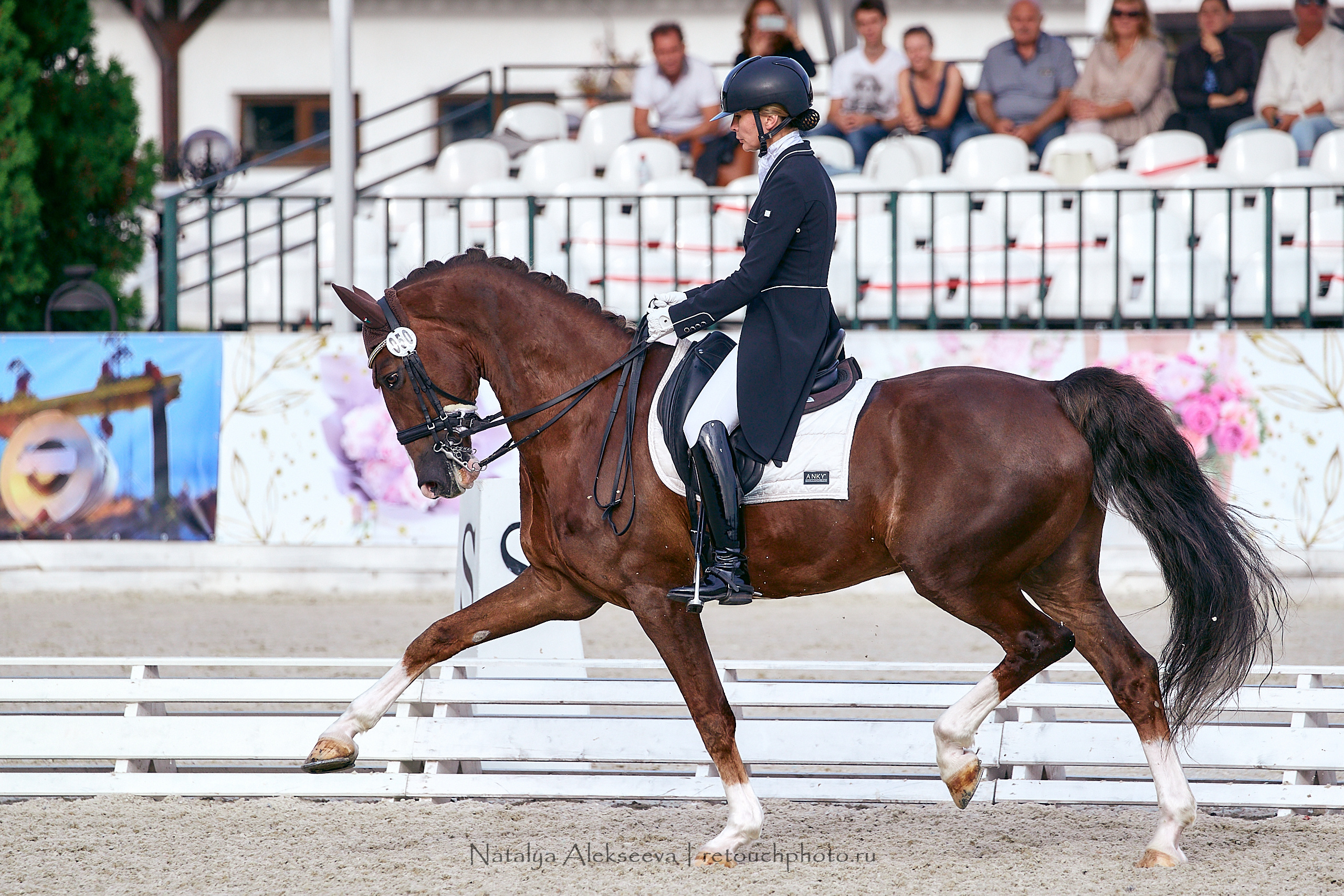 Всероссийский турнир по выездке, КСК Отрада | 09'2020. Репортажный фотограф и ретушер в Москве Наталья Алексеева