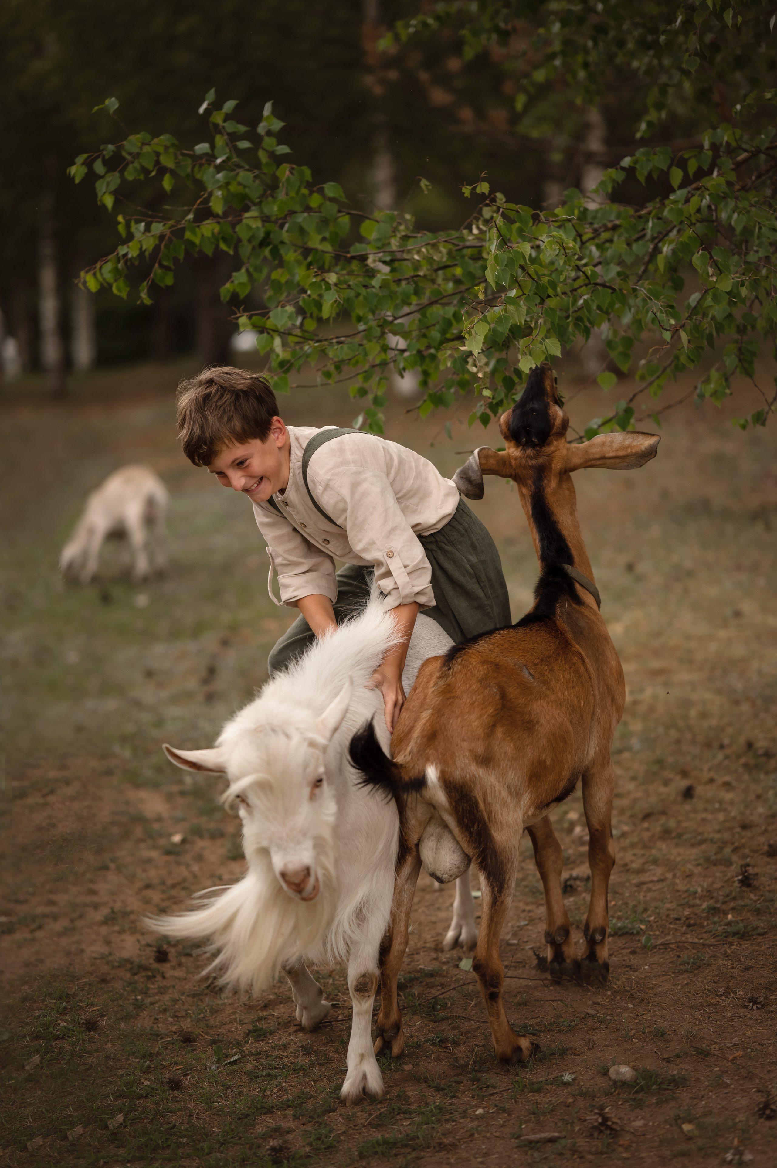 Дети на ферме. Детский и семейный фотограф