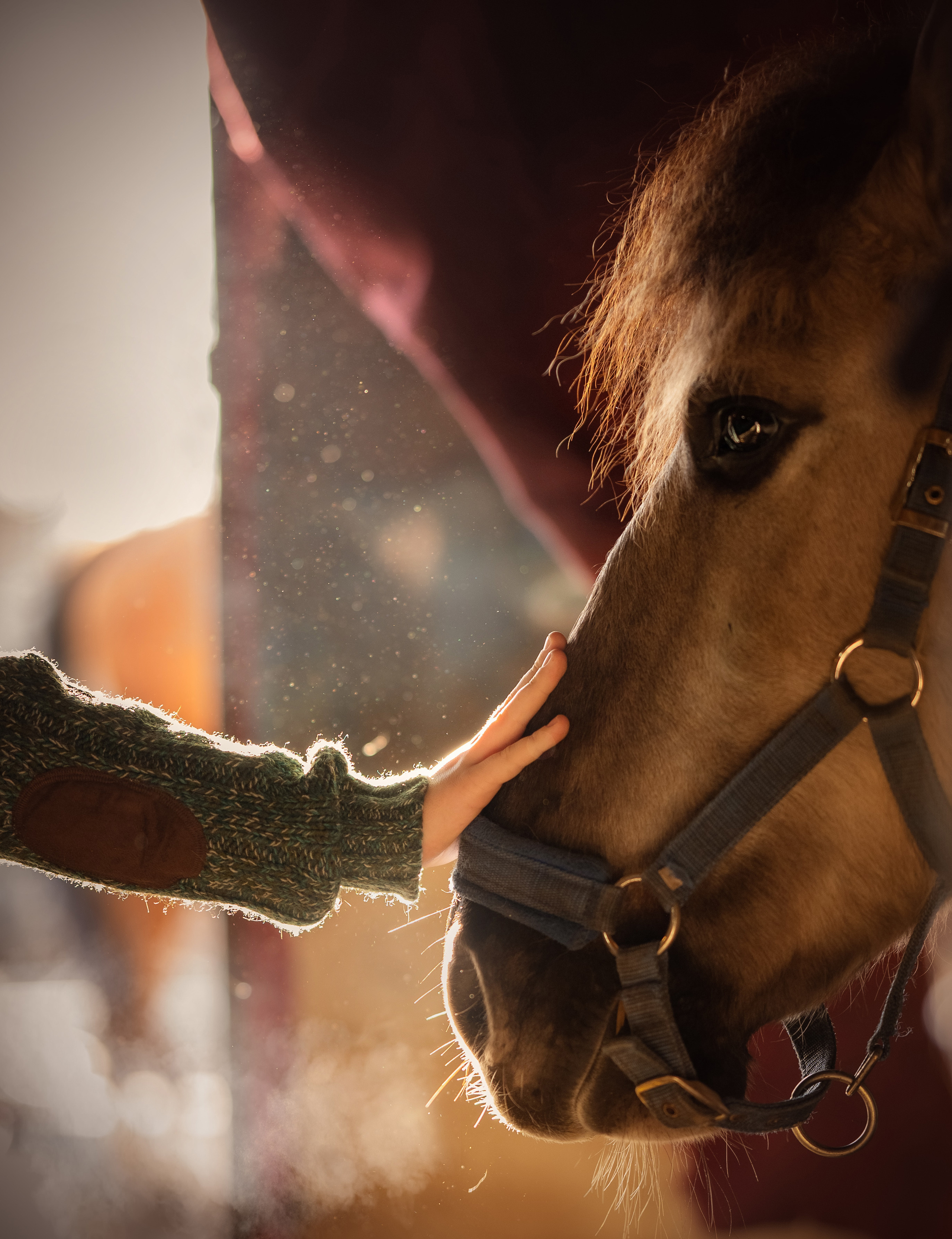 Маленький фермер. Детский и семейный фотограф