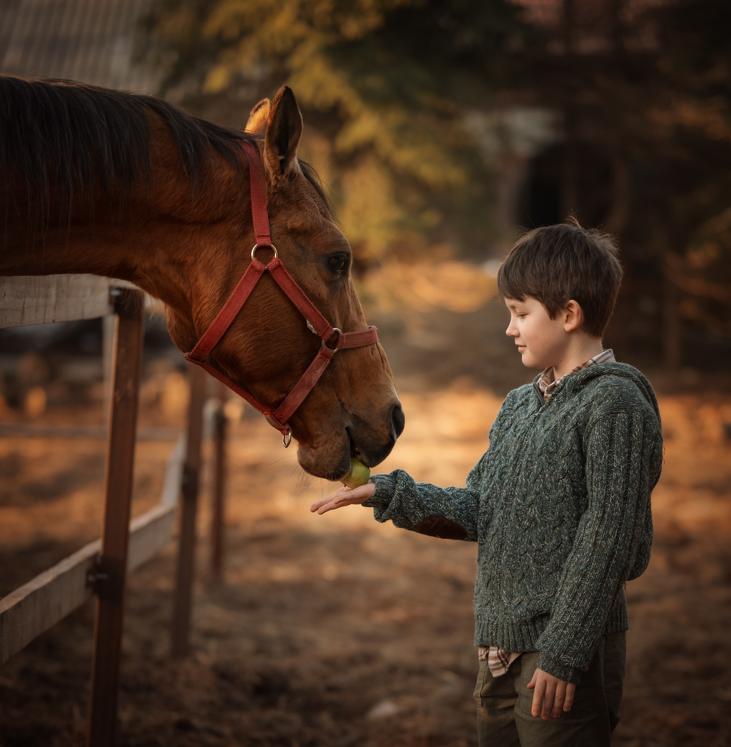 Маленький фермер. Детский и семейный фотограф