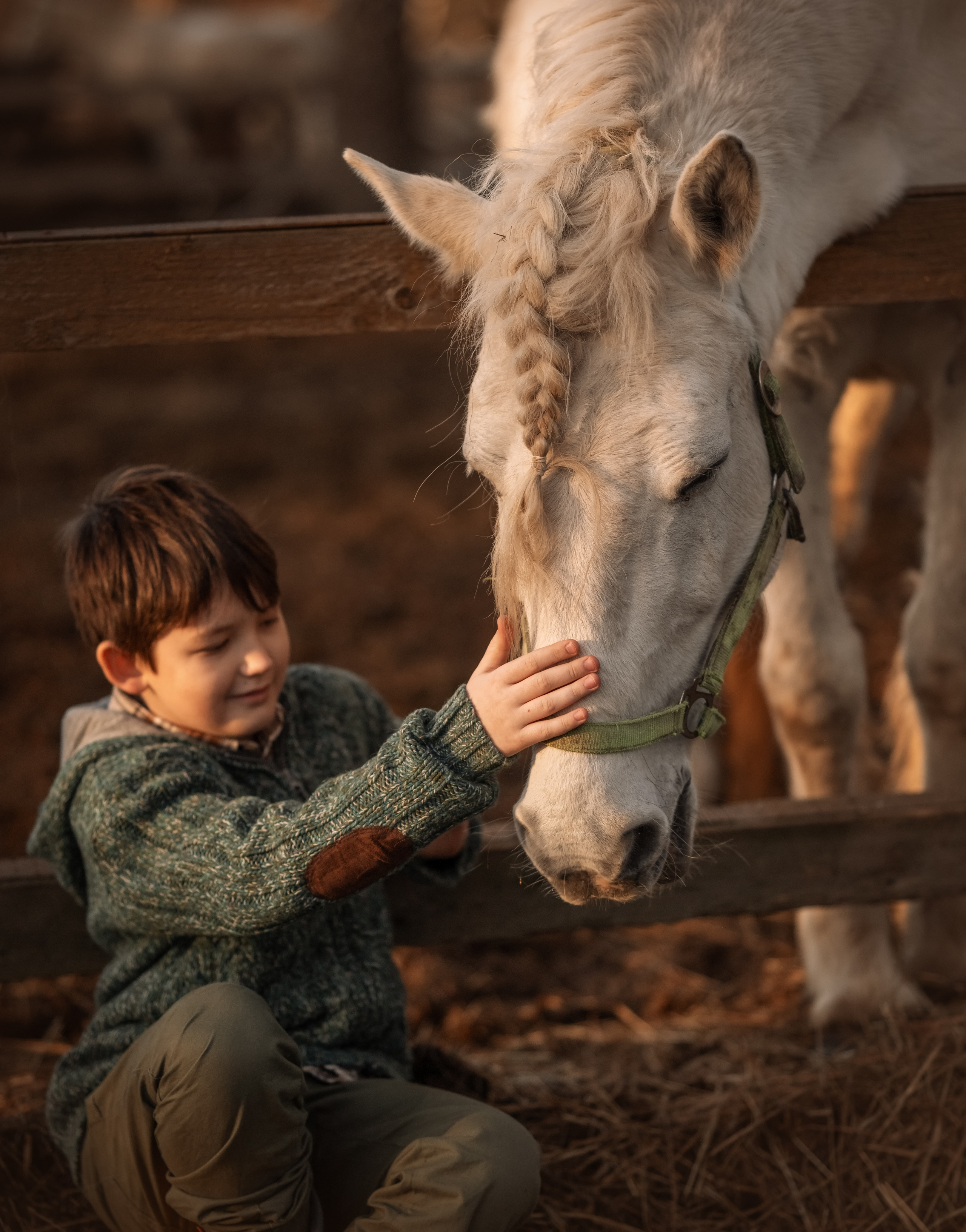 Маленький фермер. Детский и семейный фотограф