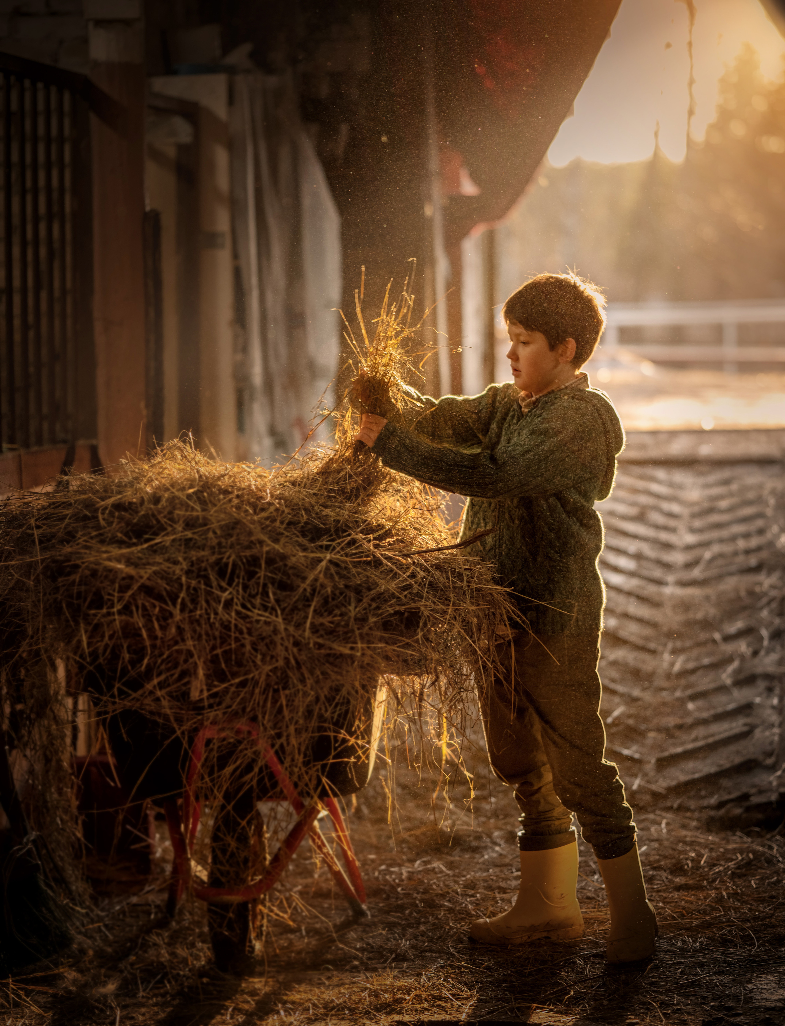 Маленький фермер. Детский и семейный фотограф