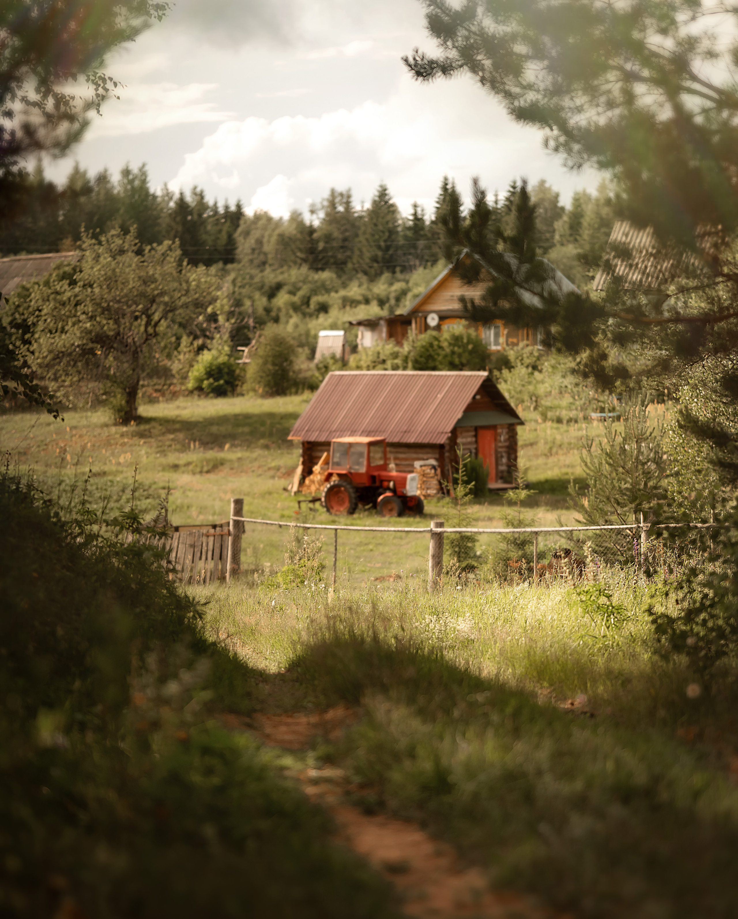 Сельская любовь. Детский и семейный фотограф