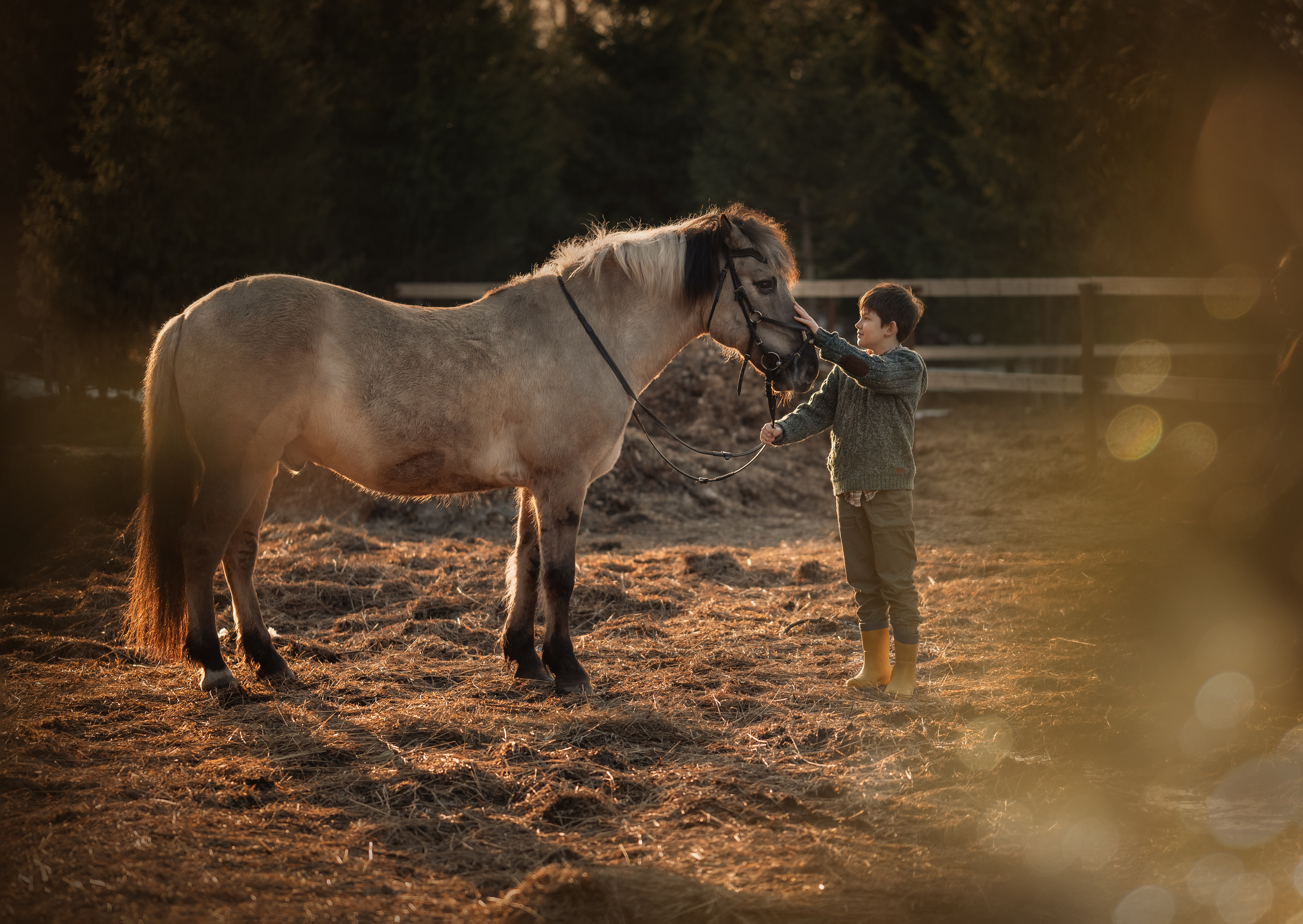 Маленький фермер. Детский и семейный фотограф