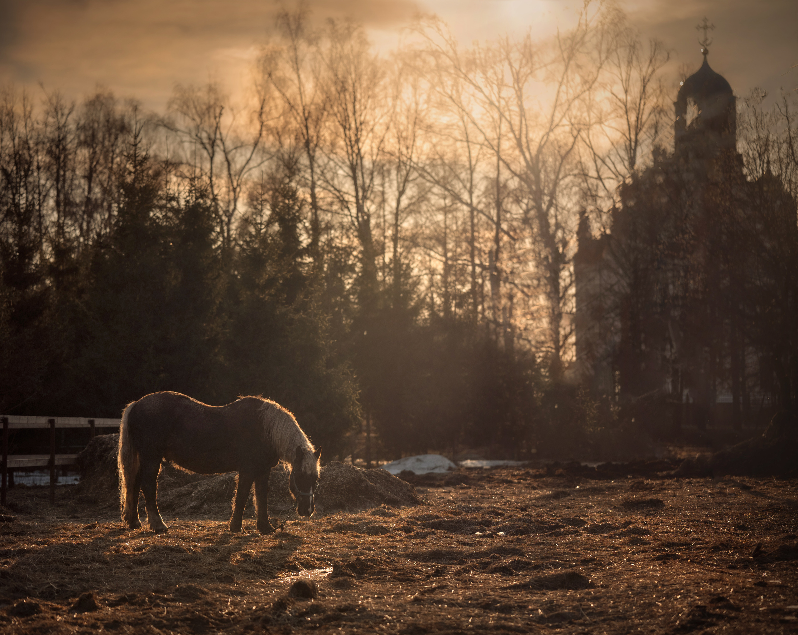 Маленький фермер. Детский и семейный фотограф