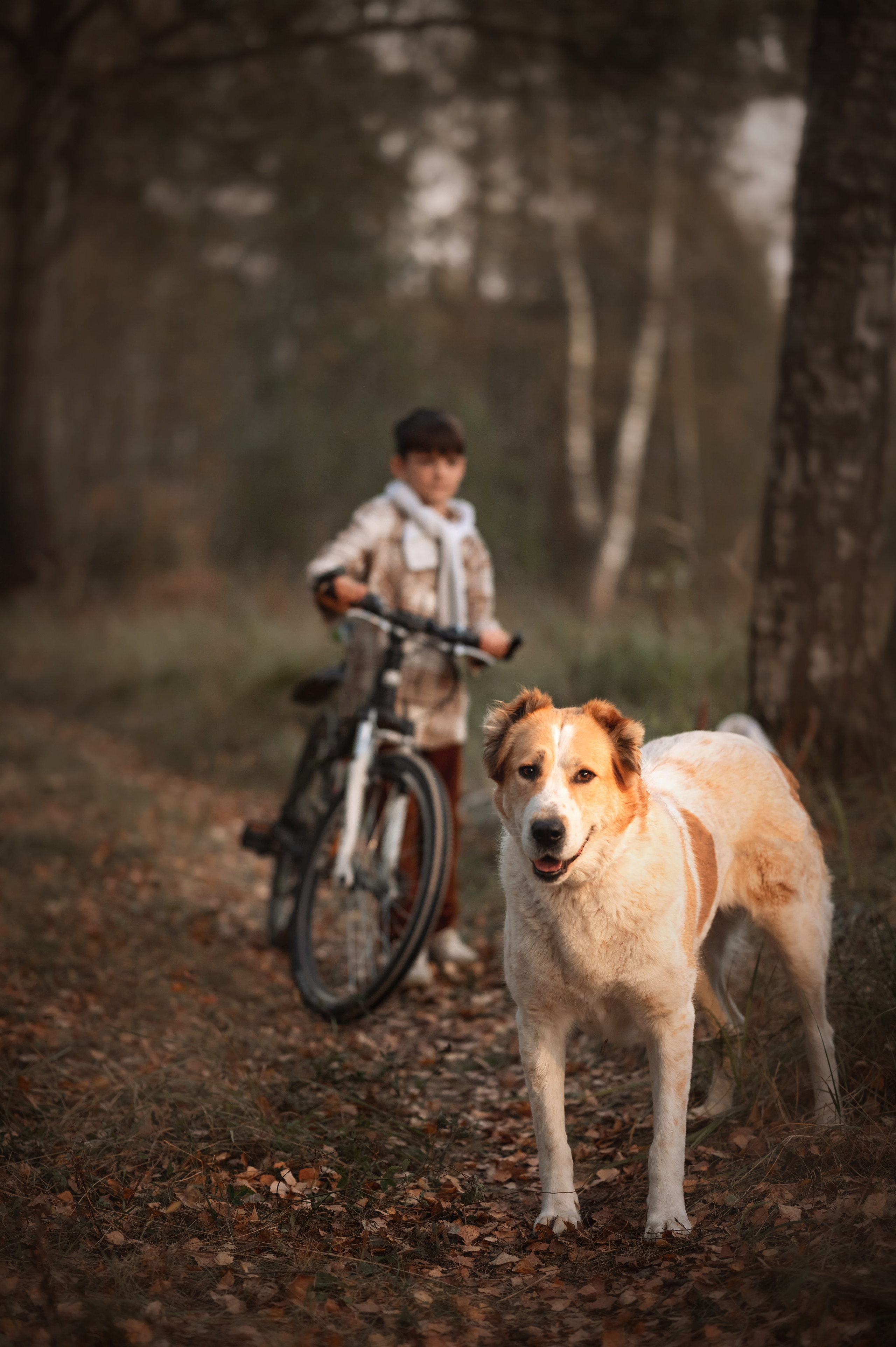 Мальчишки у костра. Детский и семейный фотограф