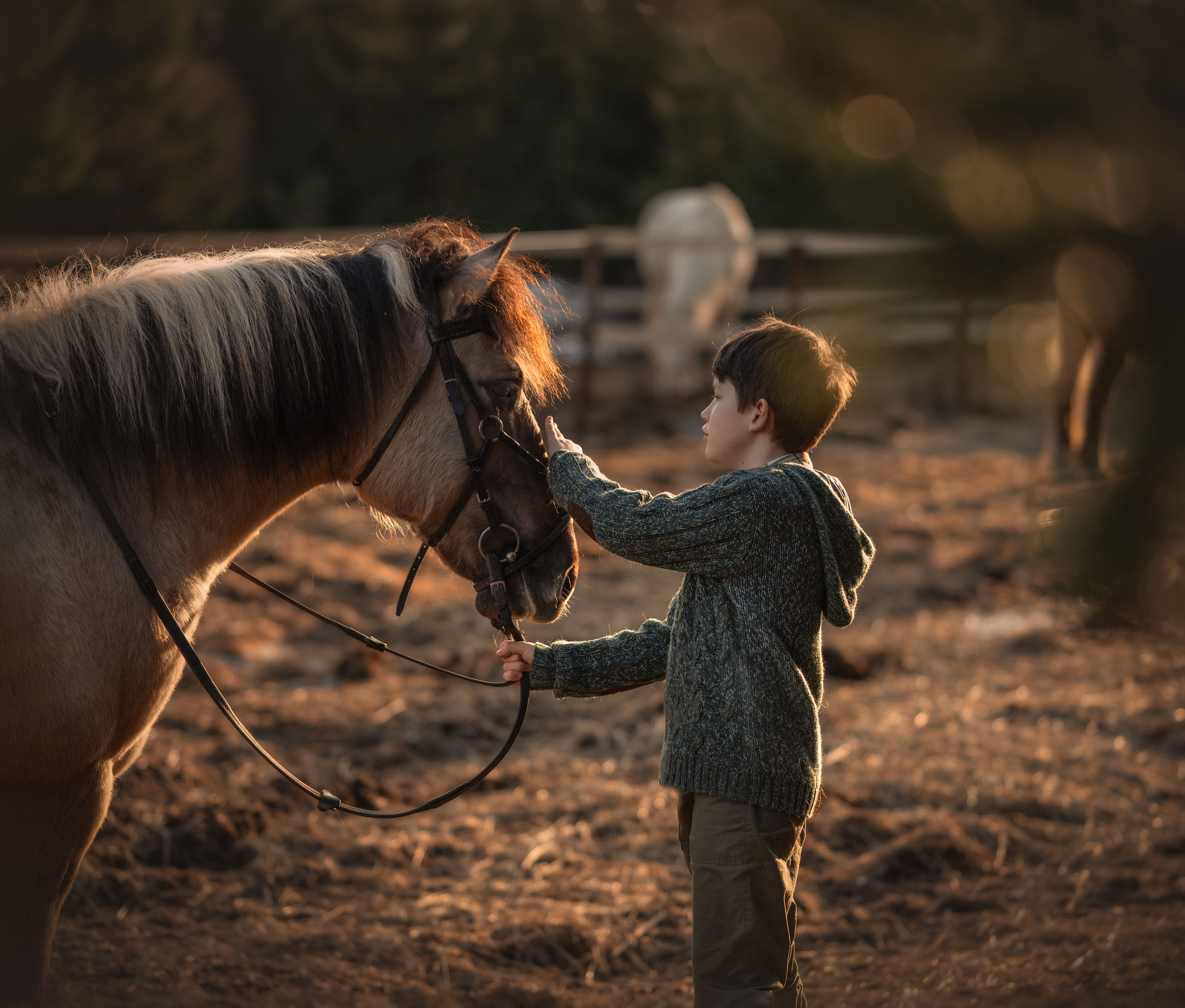 Маленький фермер. Детский и семейный фотограф