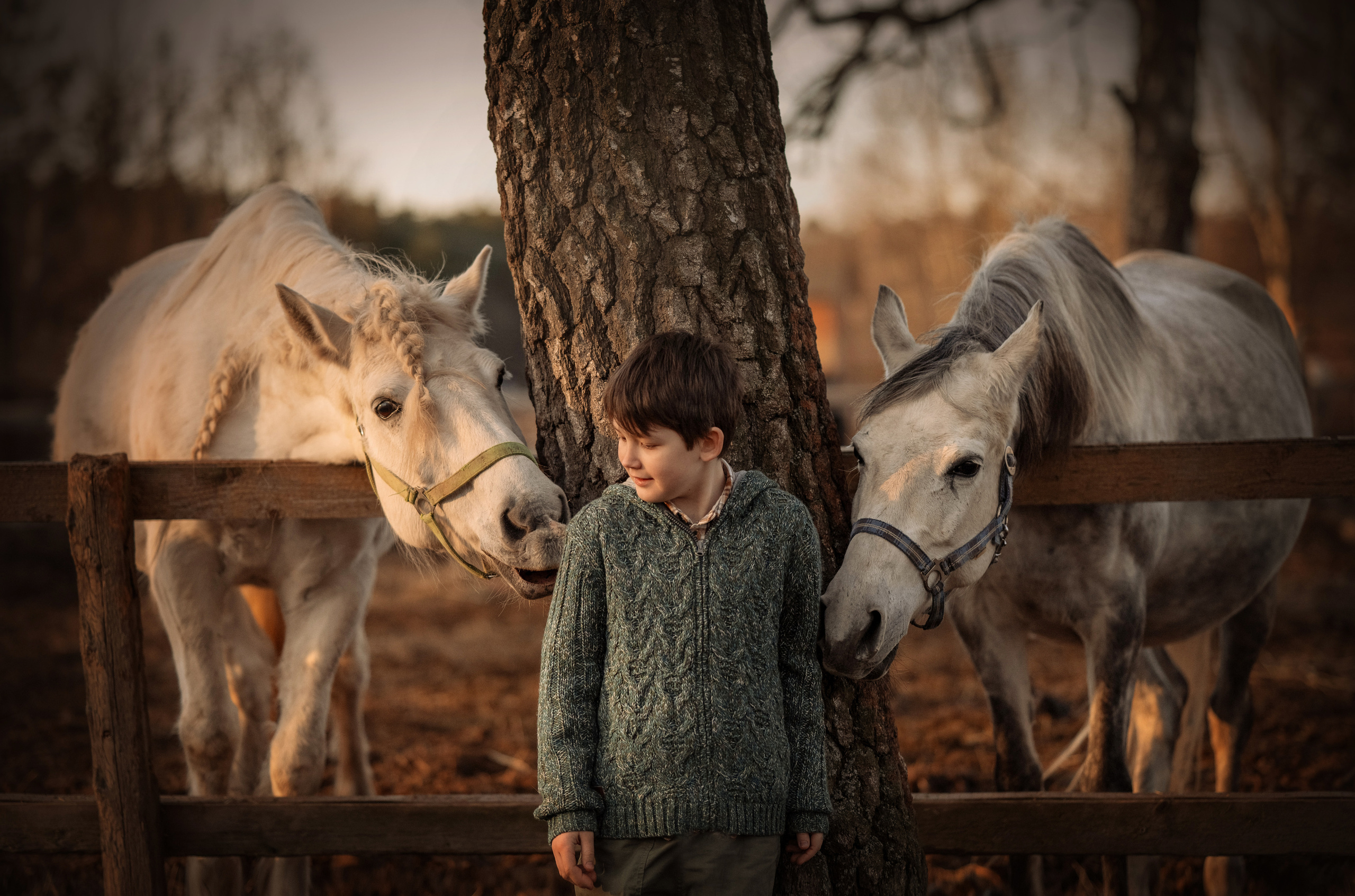 Маленький фермер. Детский и семейный фотограф