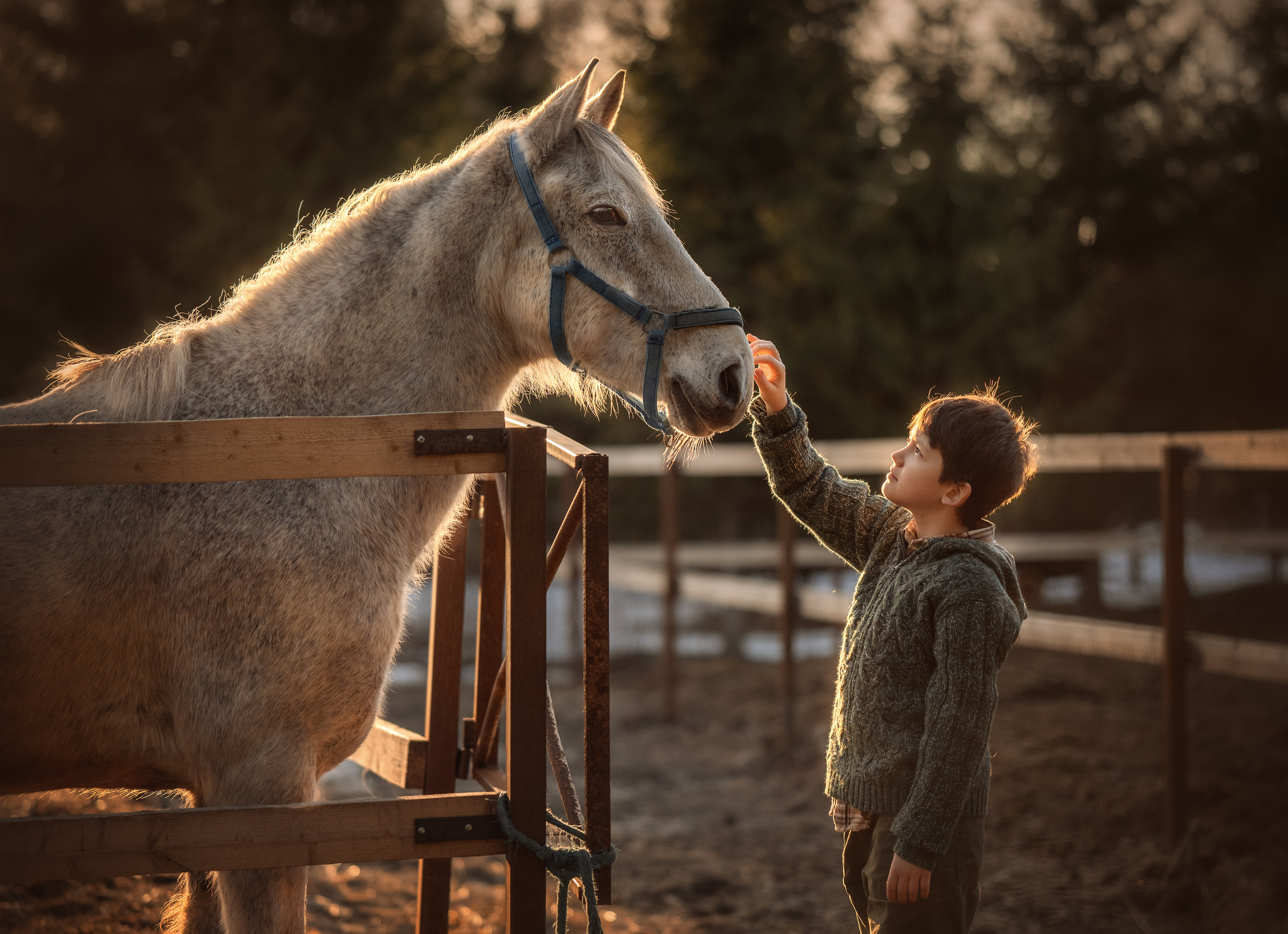 Маленький фермер. Детский и семейный фотограф