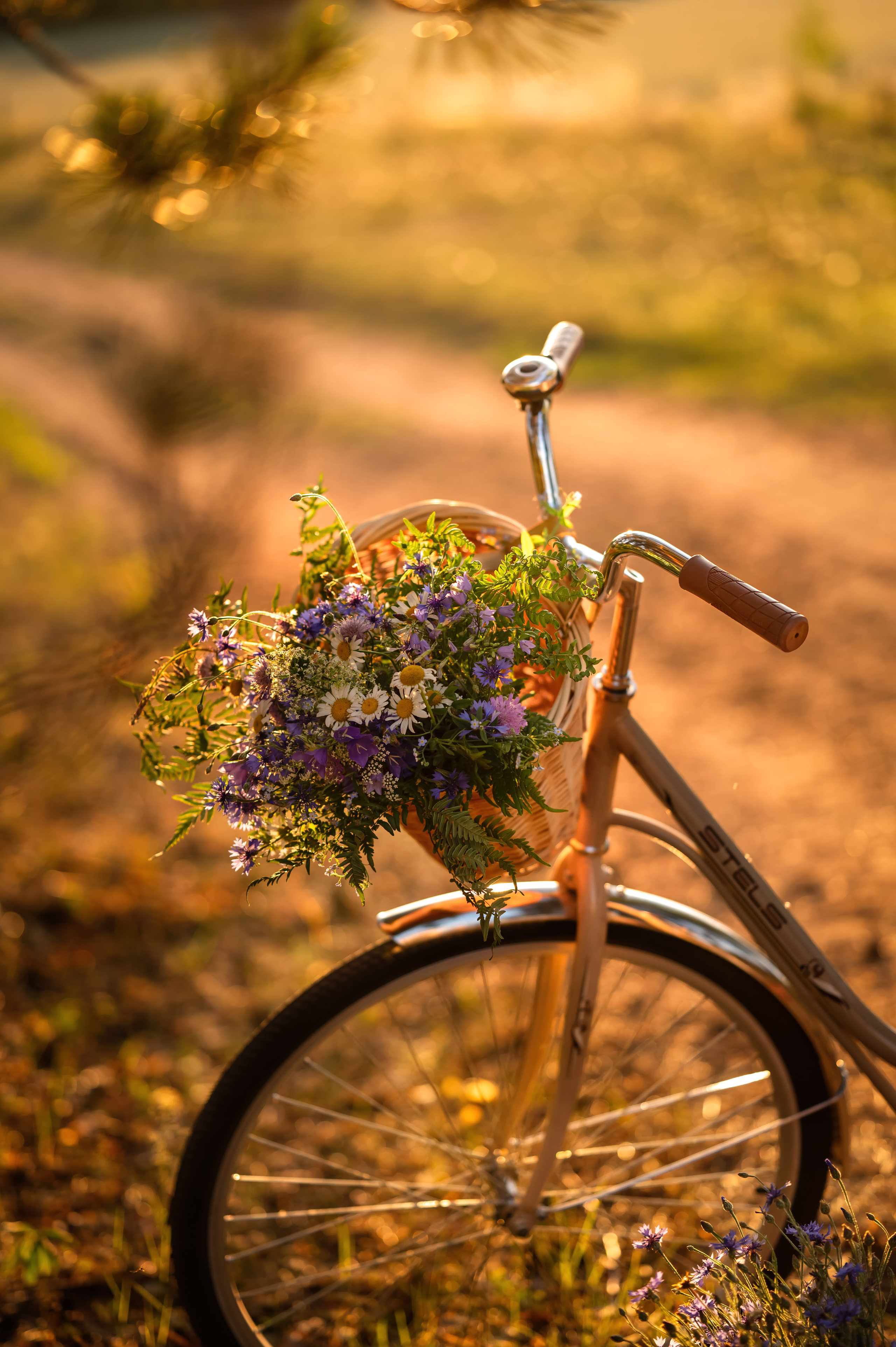 Полина. Детский и семейный фотограф