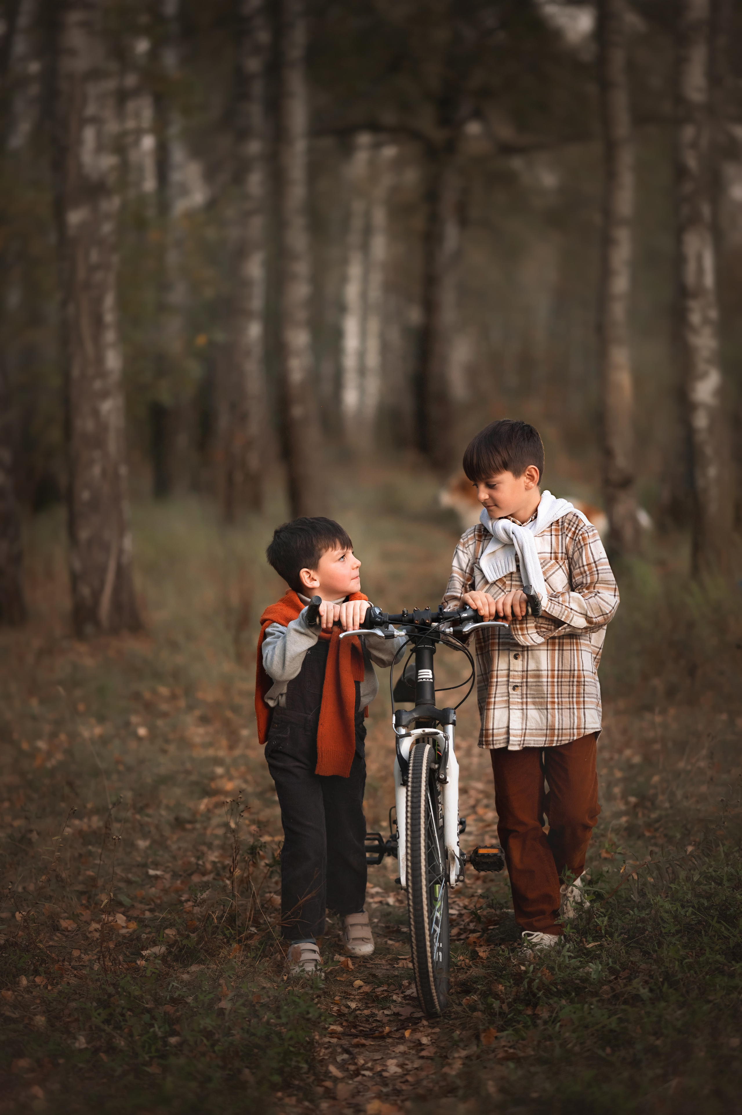 Мальчишки у костра. Детский и семейный фотограф