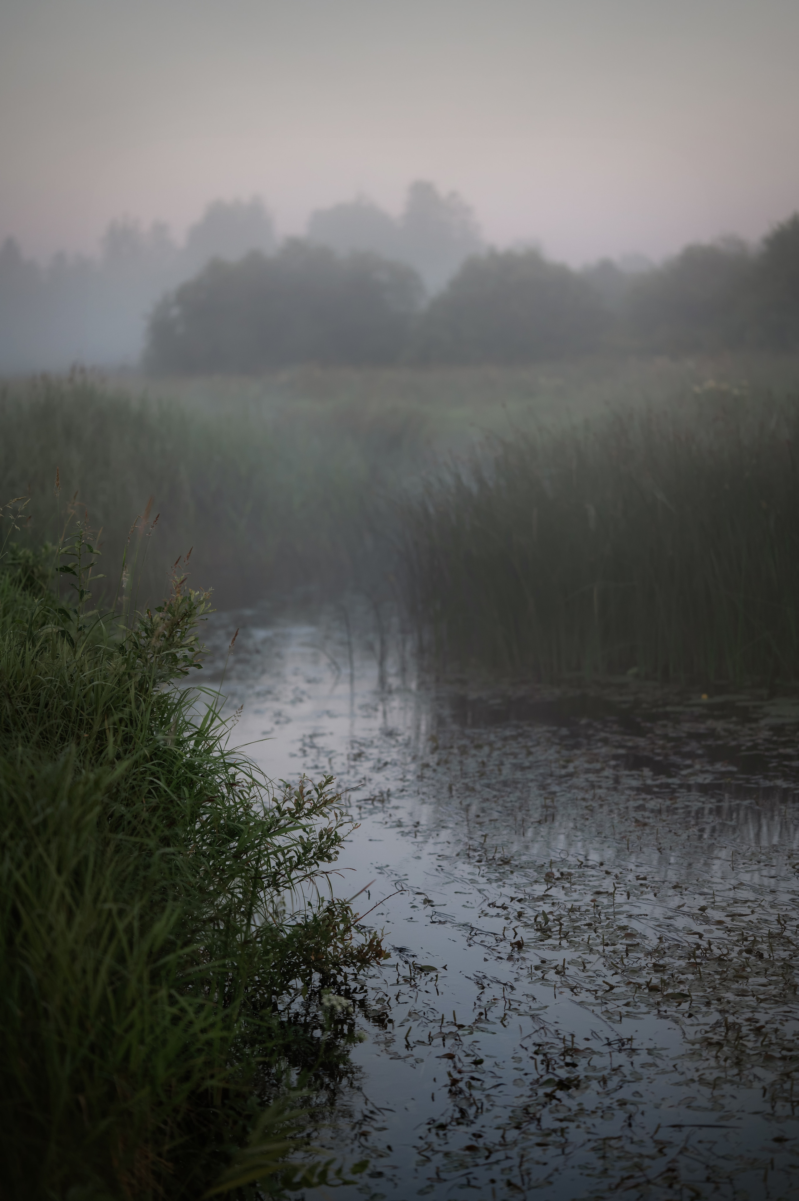 Ирина. Детский и семейный фотограф