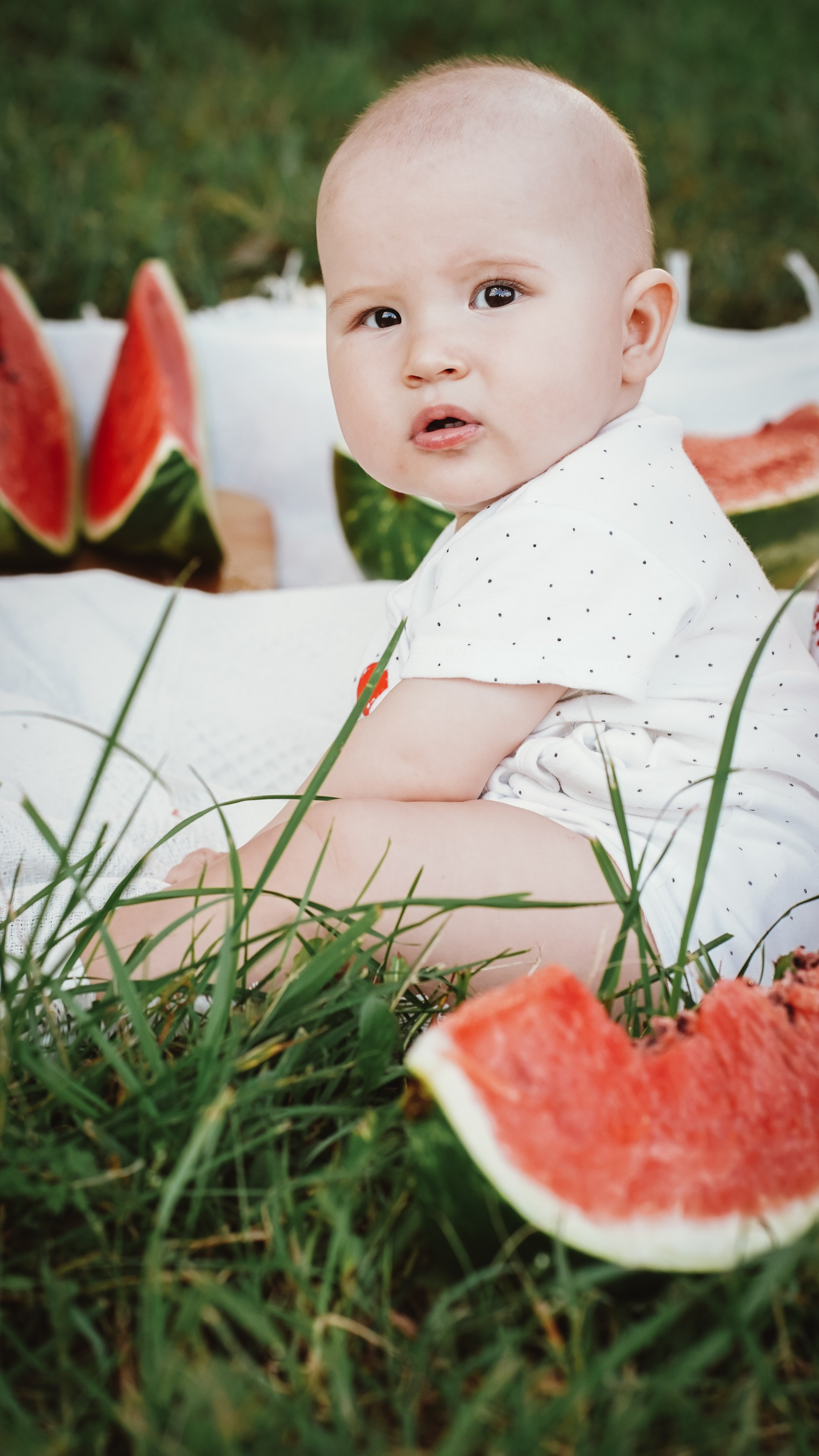 Летний пикник. Семейный и детский фотограф в Москве (Тинао) Галкина Алевтина
