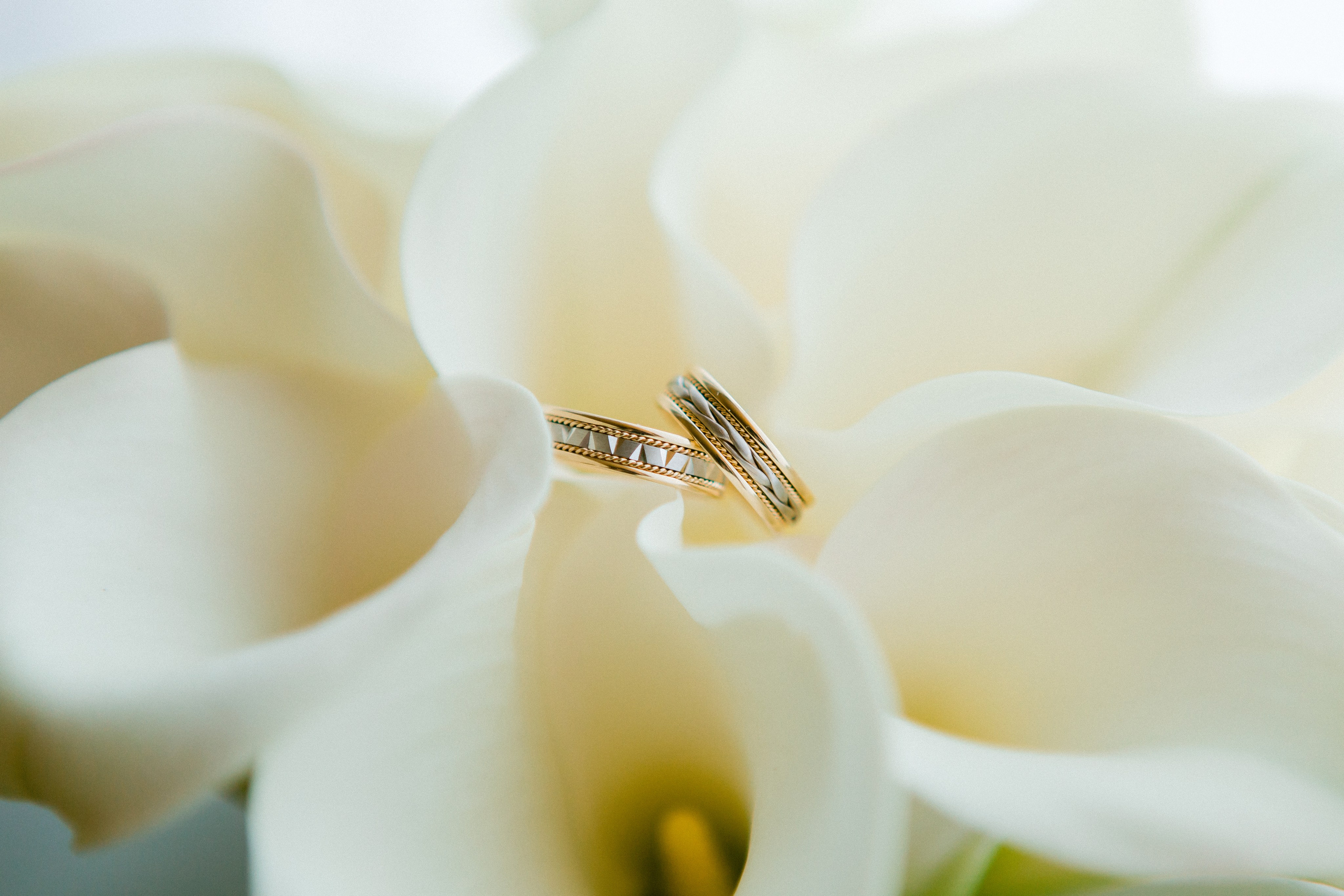 Свадебная фотосессия Сергея и Елены. Наш свадебный день. Видеосъемка и фотосъемка свадеб. Фотограф и оператор на свадьбу. Видеосъемка подкастов, собственная видео-фотостудии. Предметная фотосъемка