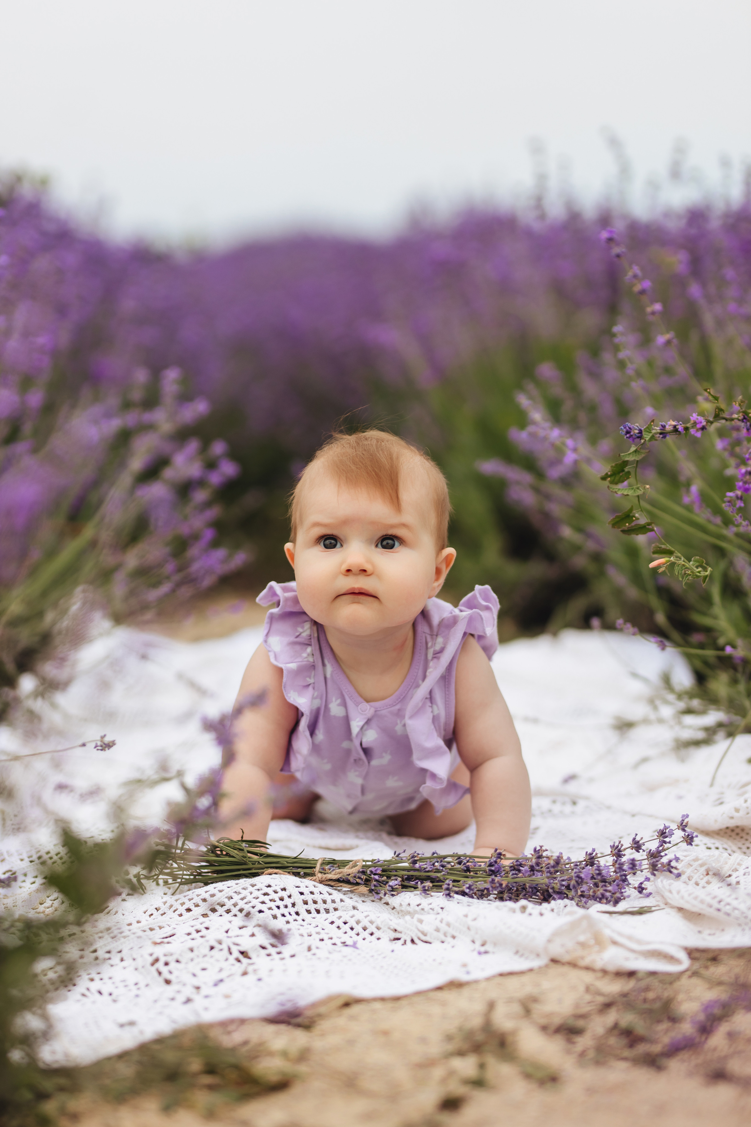 Лавандовая история. Свадебный и портретный фотограф — Мария Костина