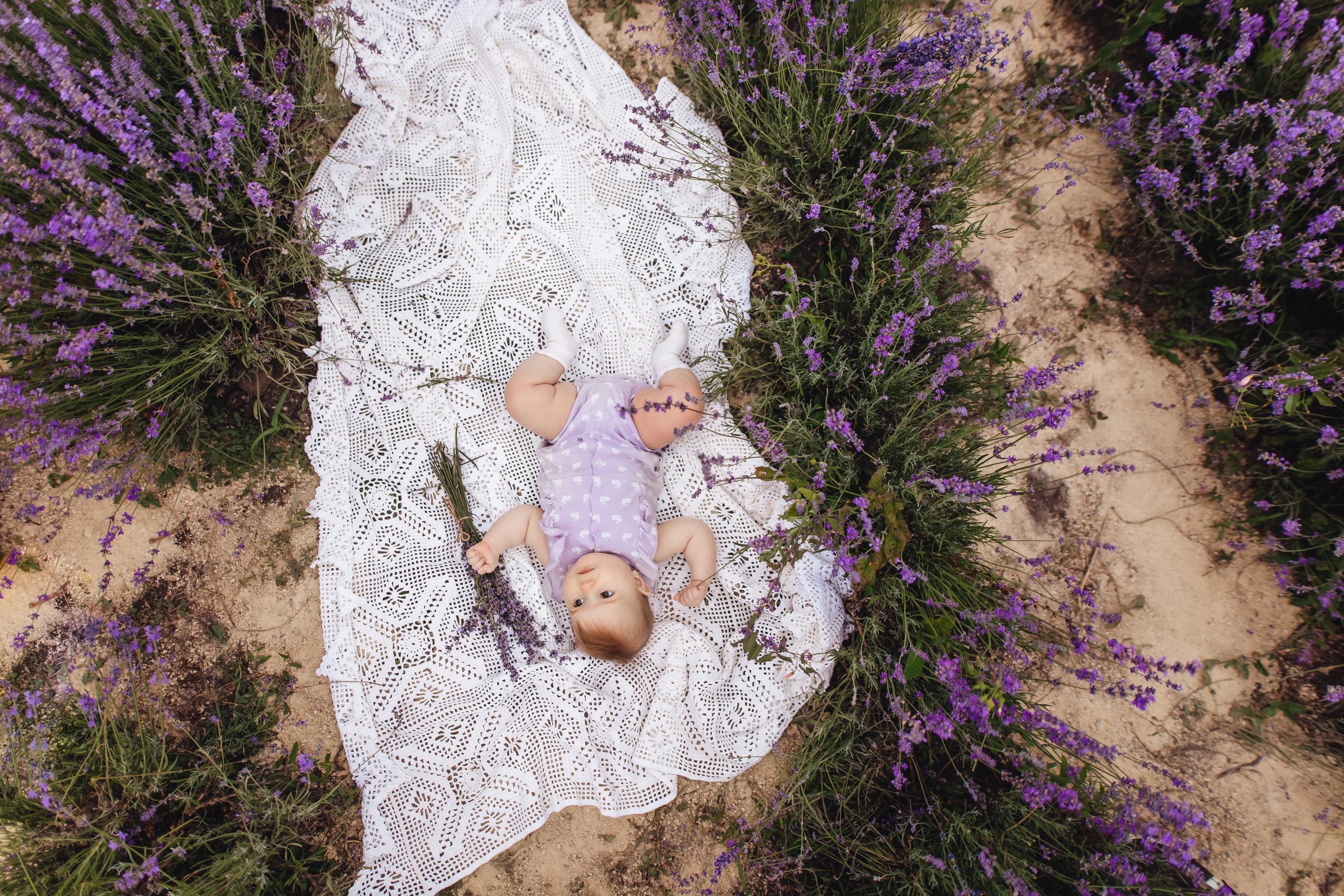 Лавандовая история. Свадебный и портретный фотограф — Мария Костина