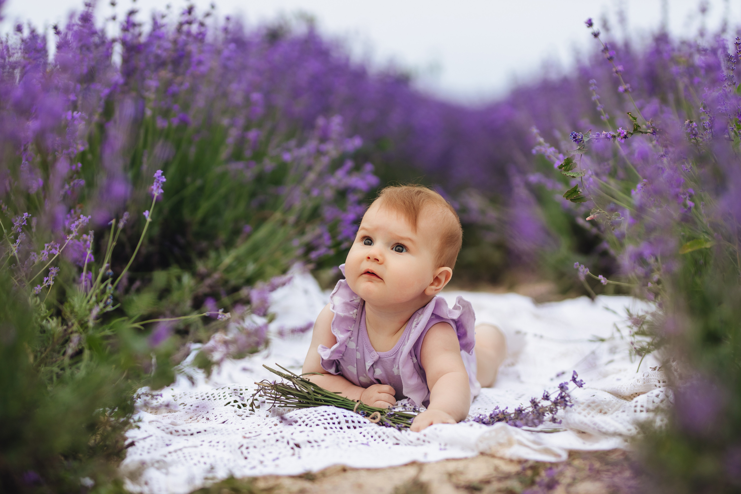 Лавандовая история. Свадебный и портретный фотограф — Мария Костина