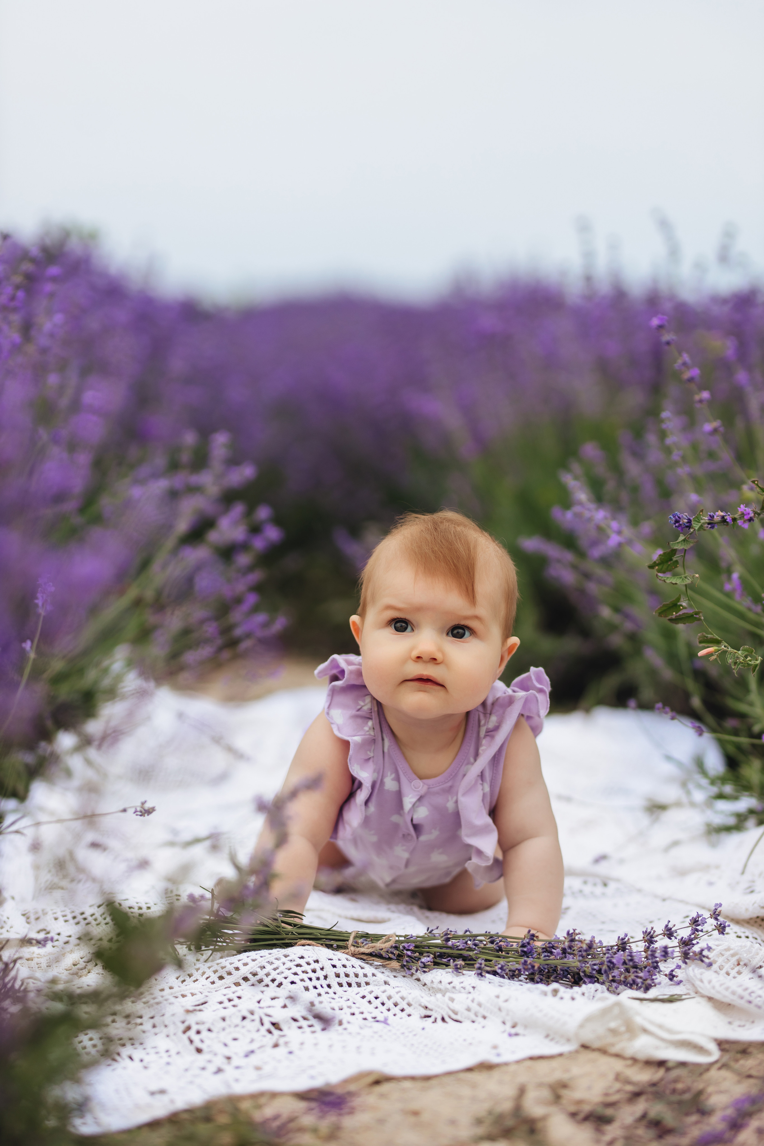 Лавандовая история. Свадебный и портретный фотограф — Мария Костина