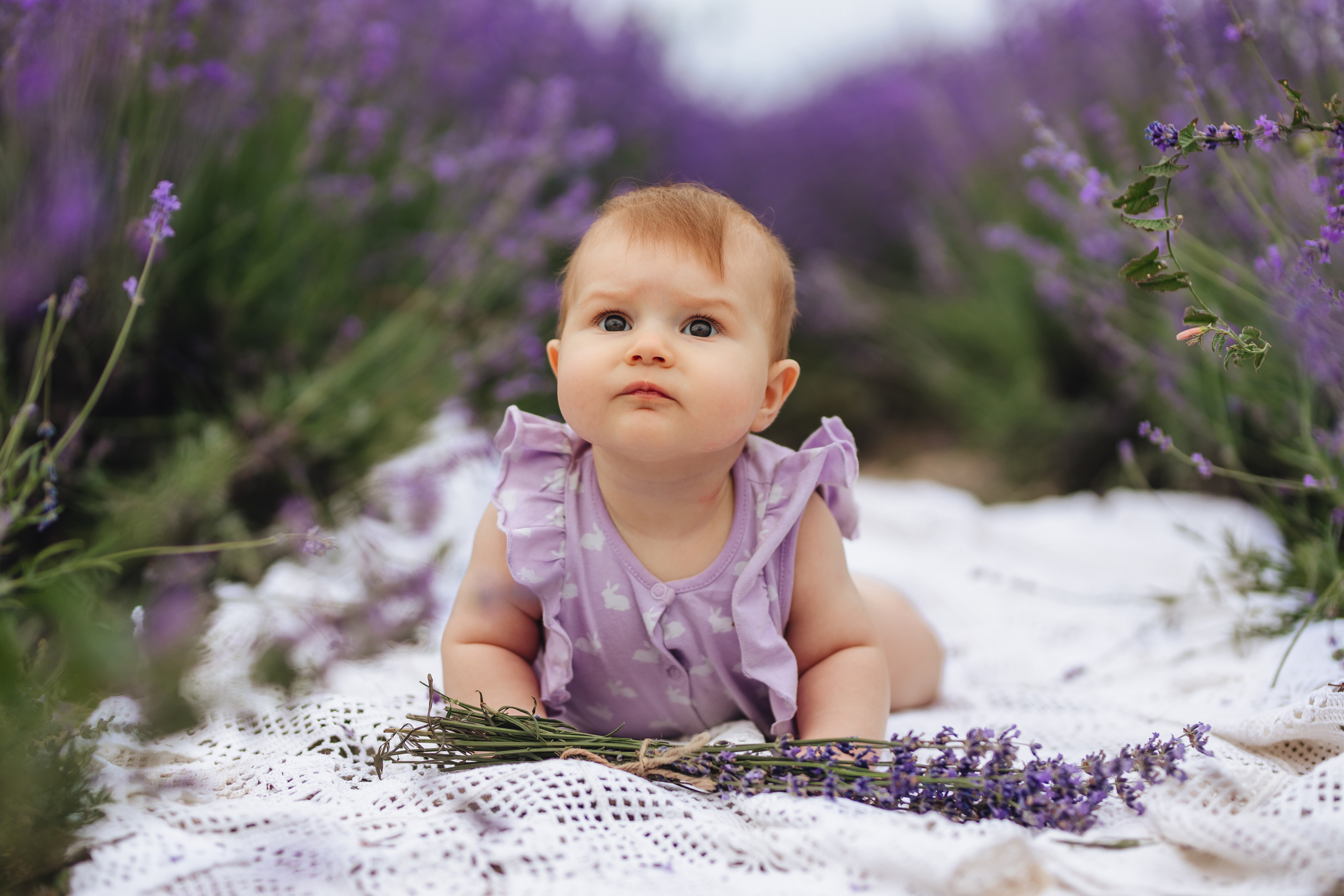 Лавандовая история. Свадебный и портретный фотограф — Мария Костина