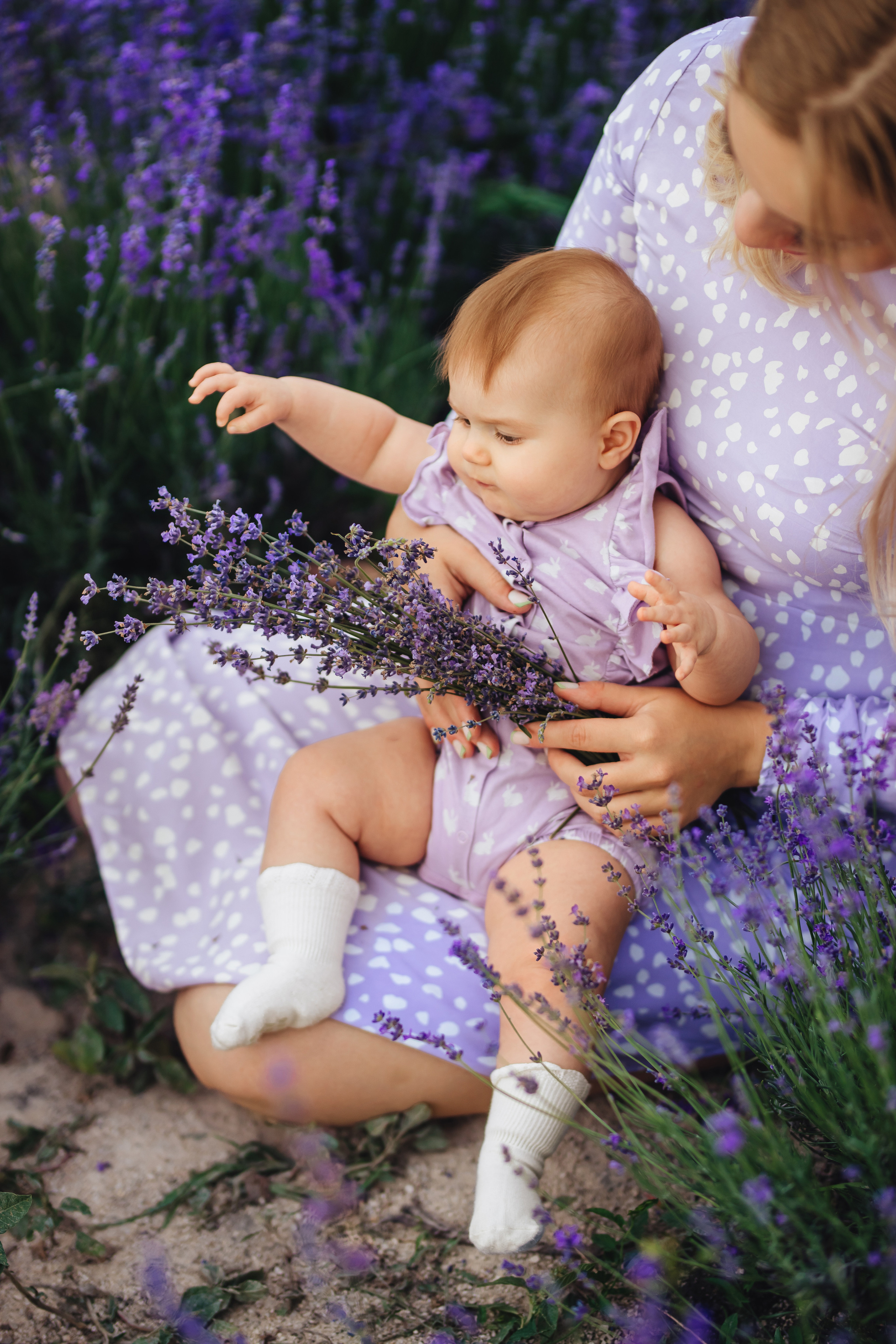 Лавандовая история. Свадебный и портретный фотограф — Мария Костина