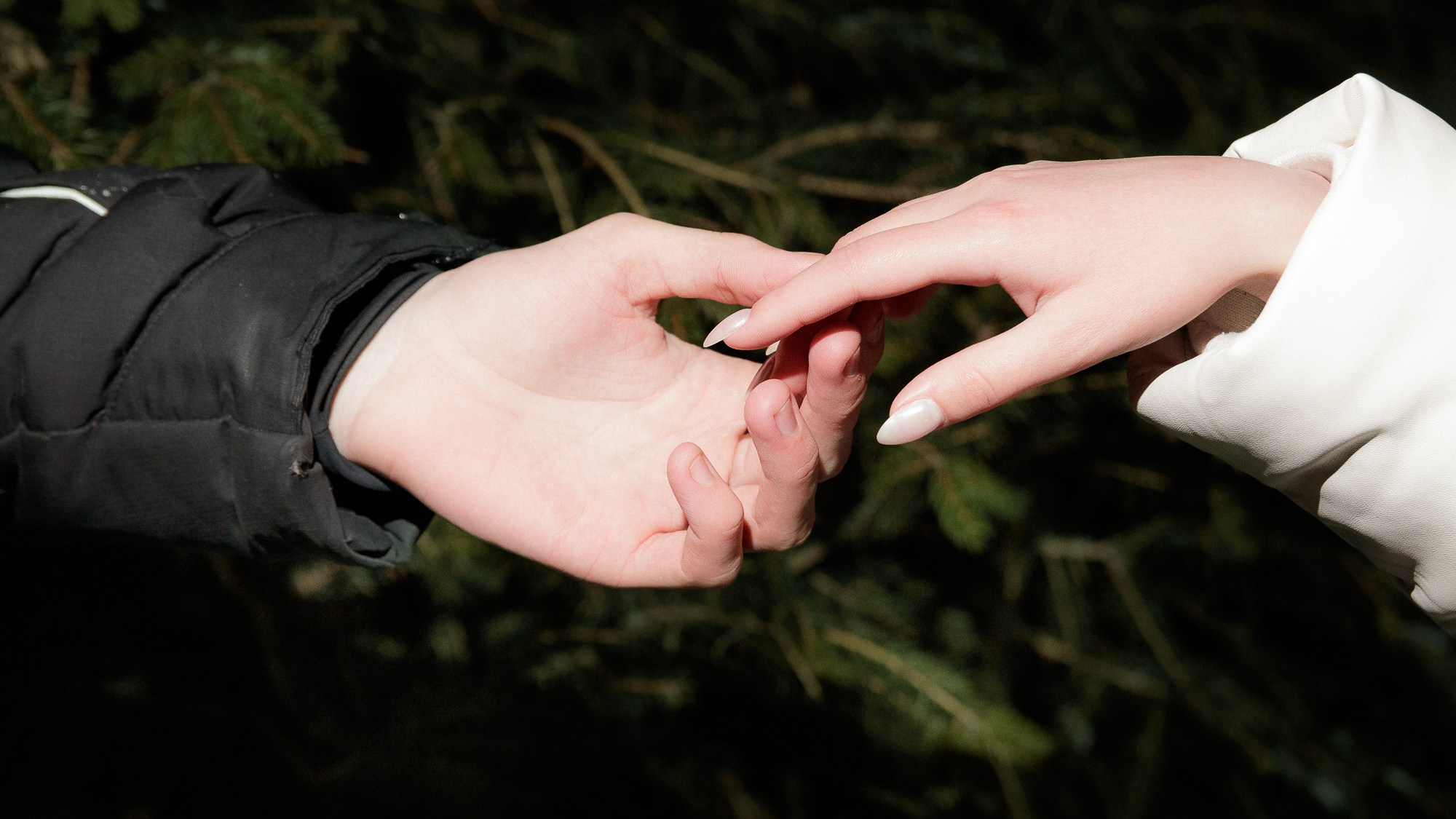 История 1. Дмитрий Рябов — фотограф