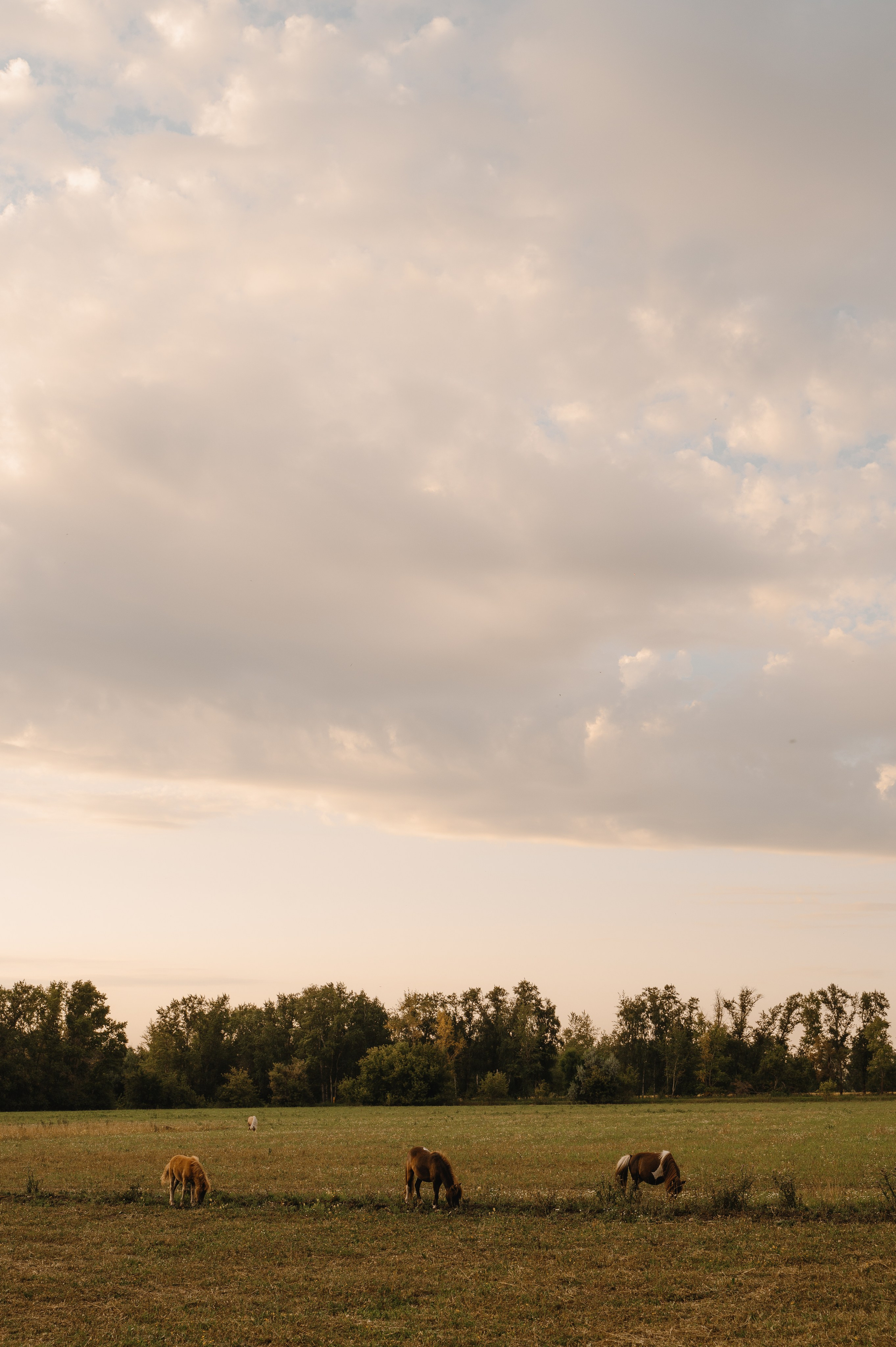 Держась за руки…. Свадебный фотограф Тольятти Самара Холмов Артем