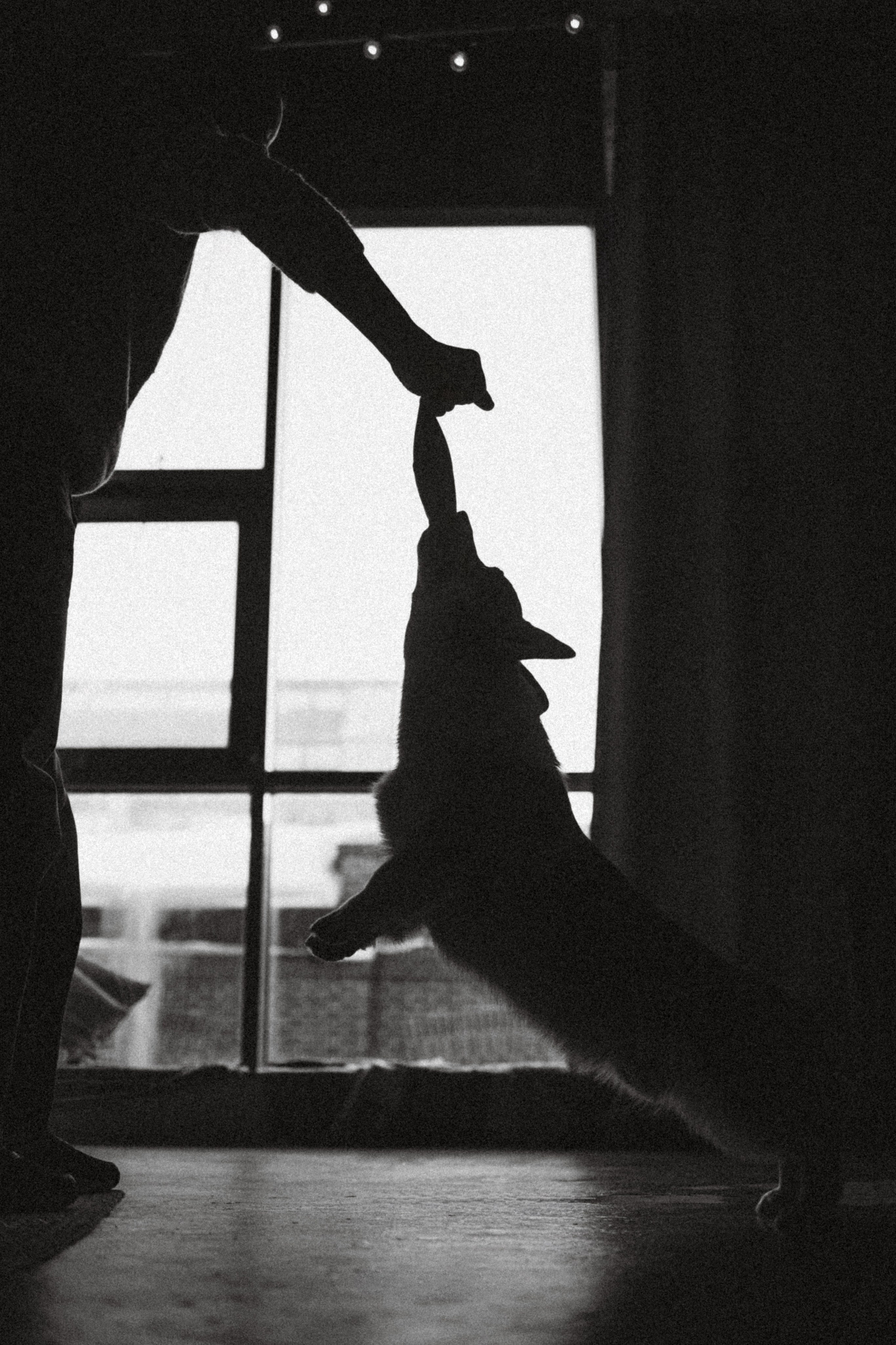 Наталья, Евгений и Мерлин