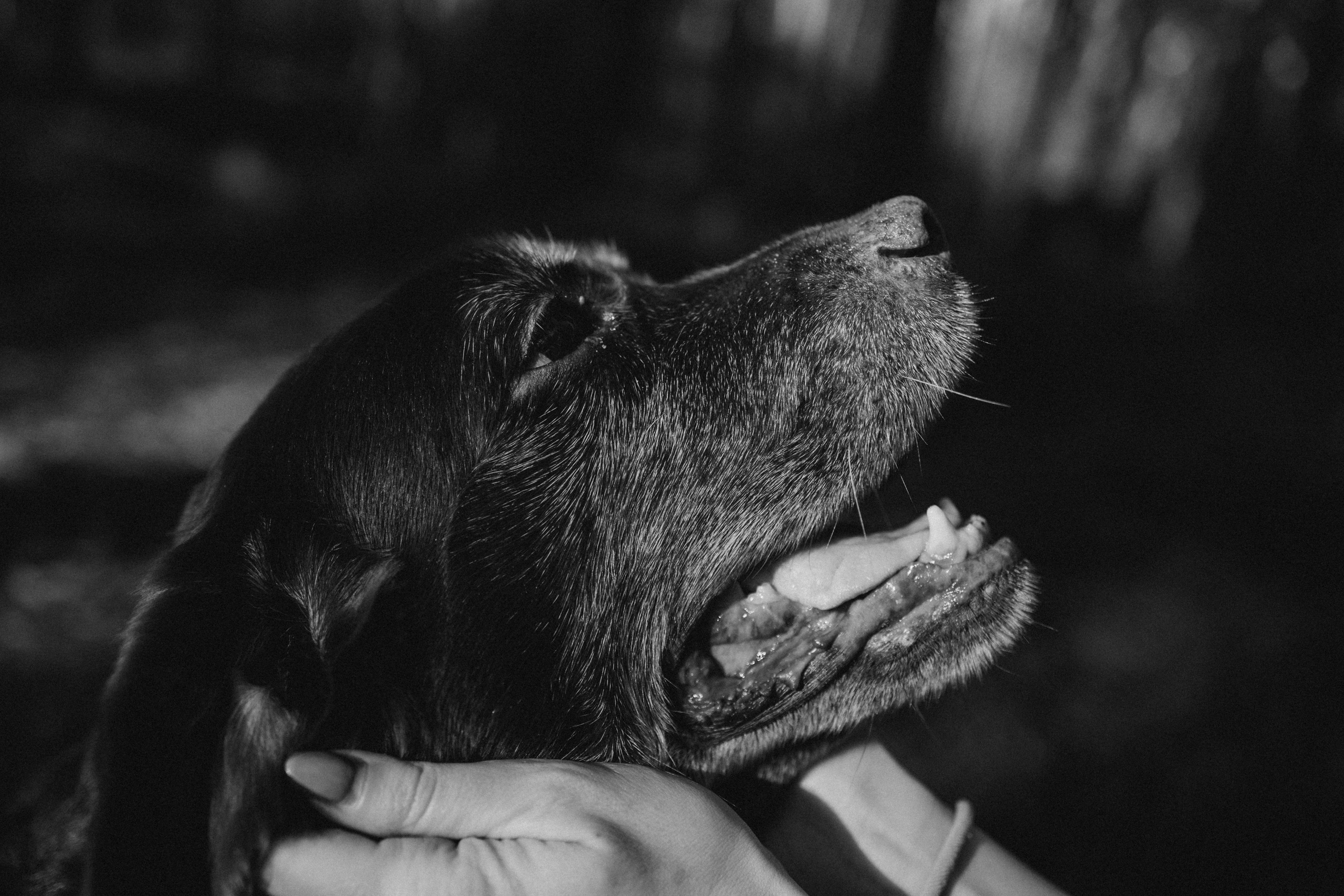 Оля и Питоня. Фотограф — Анималист | Санкт-Петербург