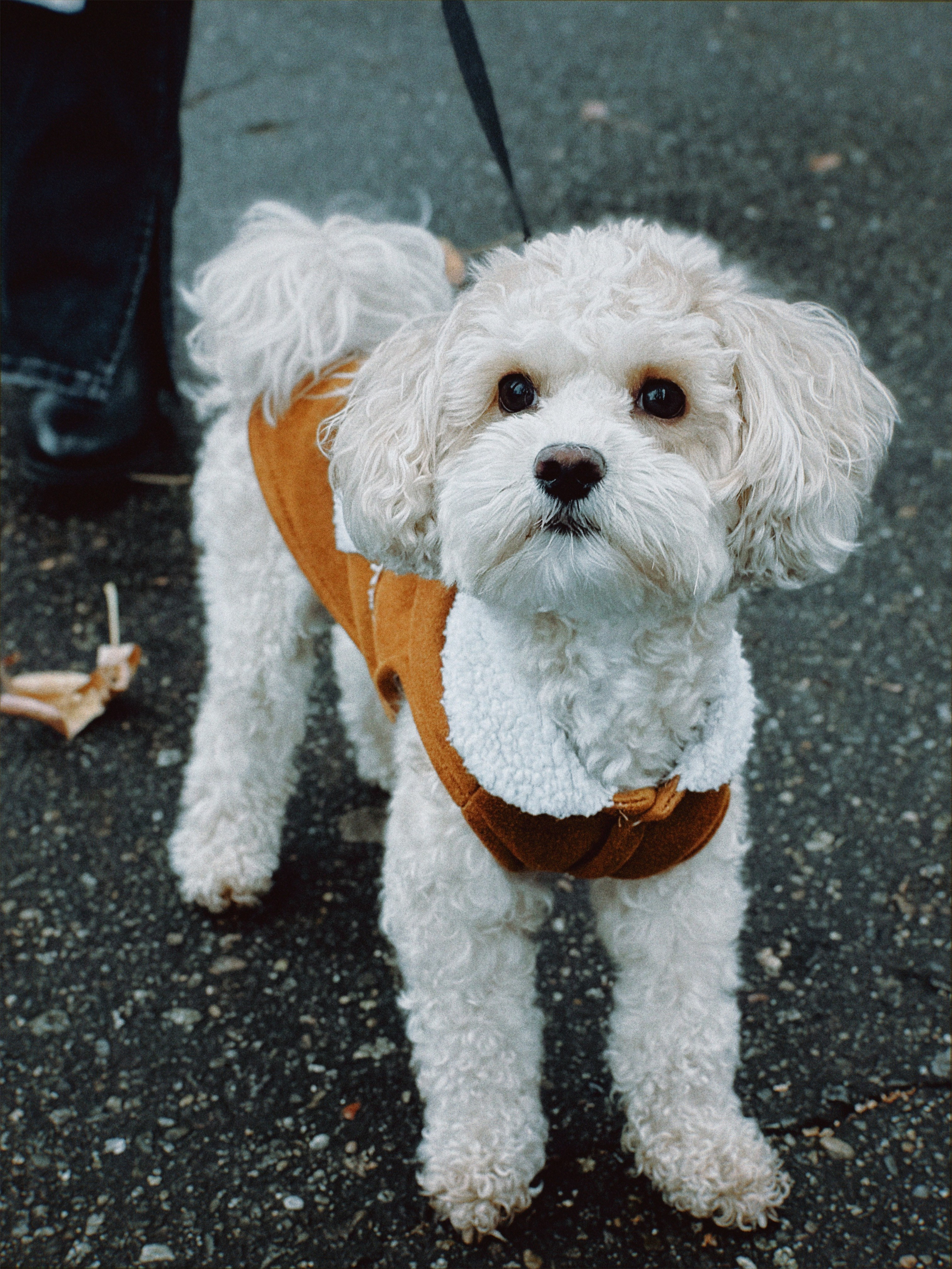 Фото история Персика. Чувственный мобильный фотограф в Казани и Сочи Дьяченко Дарья