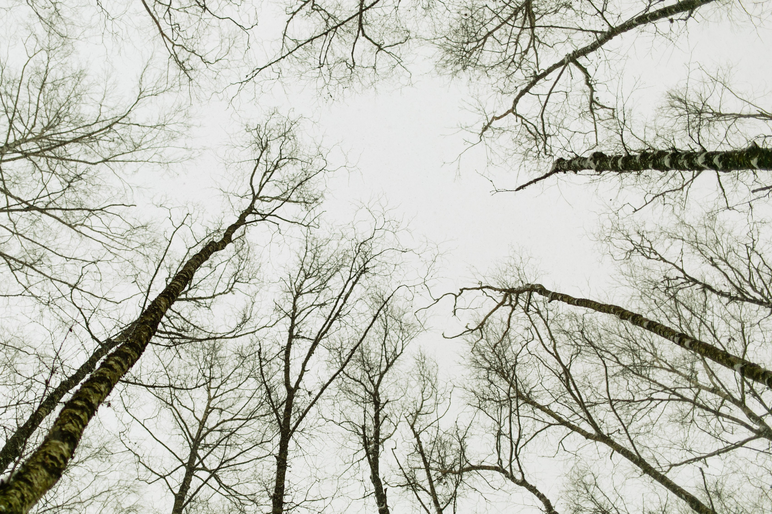 Кирилл, Марина, Саша