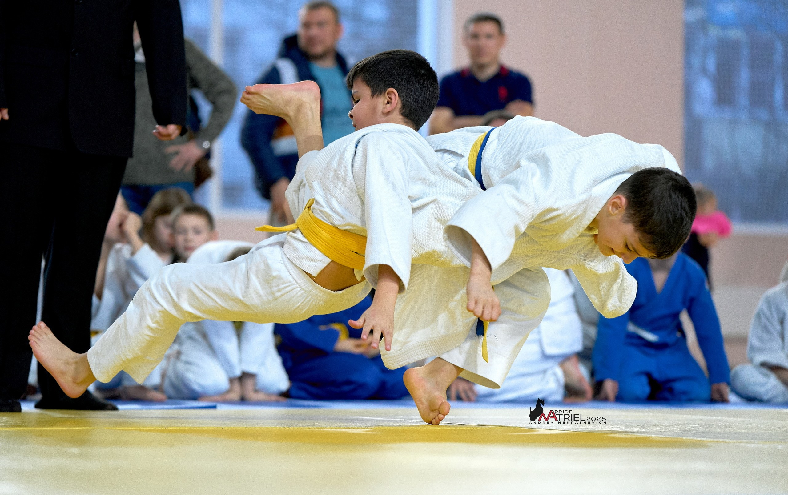 Спортивная съемка — галерея NATRIEL