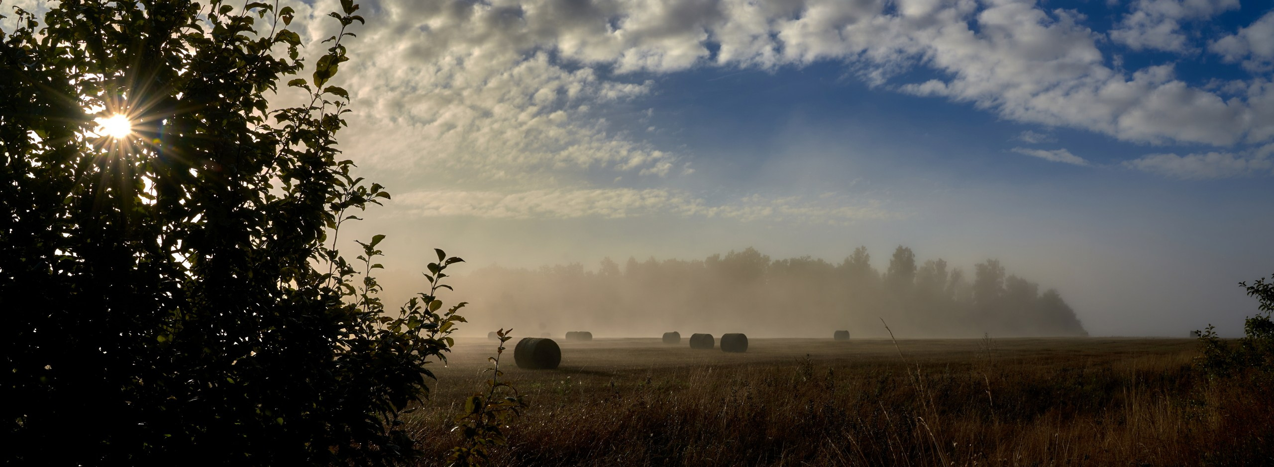 Пейзаж — галерея NATRIEL