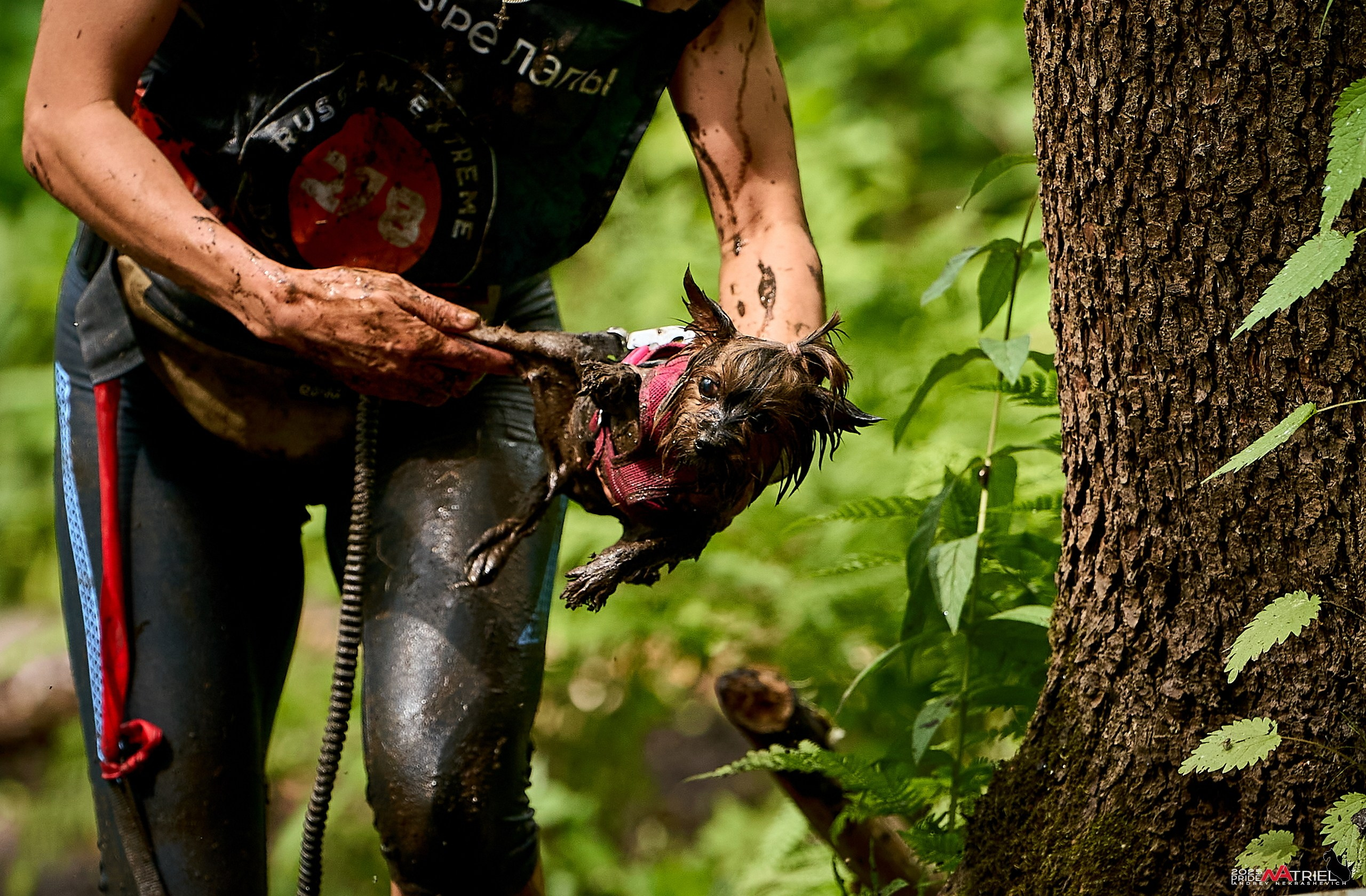 Russian Extreme Dog Trail — 2025