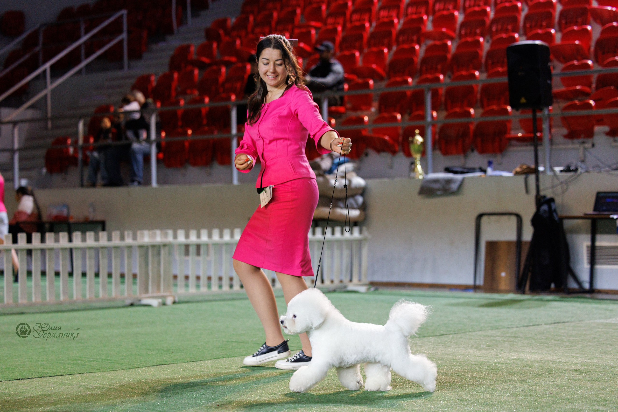 Грузия,Телави 2хCACIB 19-20.10.2024. Фотограф-анималист Юлия Германика