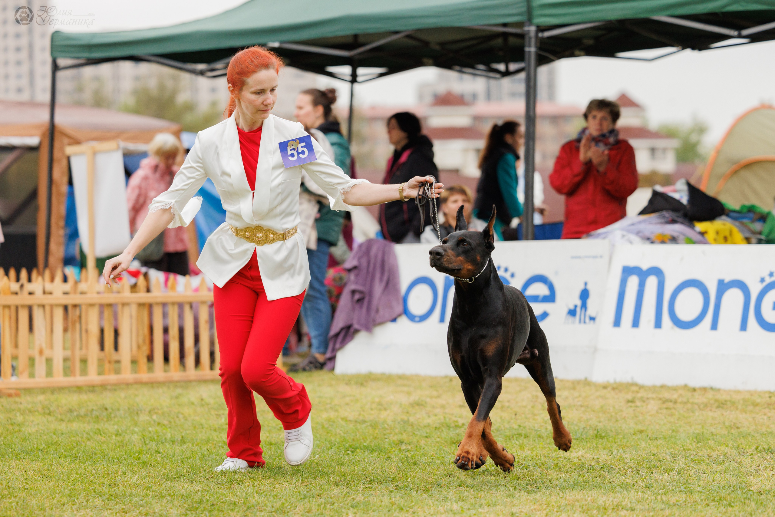 Армения,Ереван 3хCACIB 15-17.10.2024. Фотограф-анималист Юлия Германика